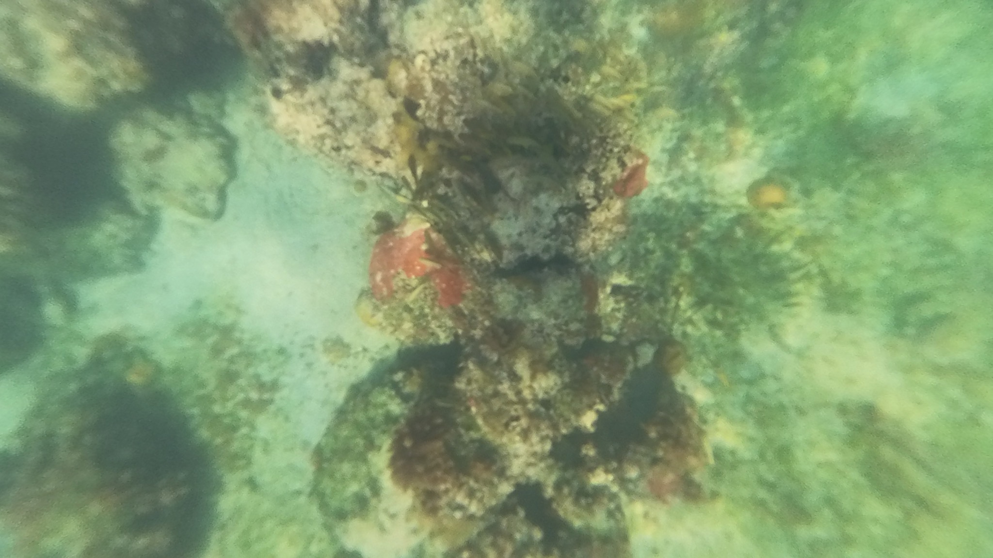 Underwater
