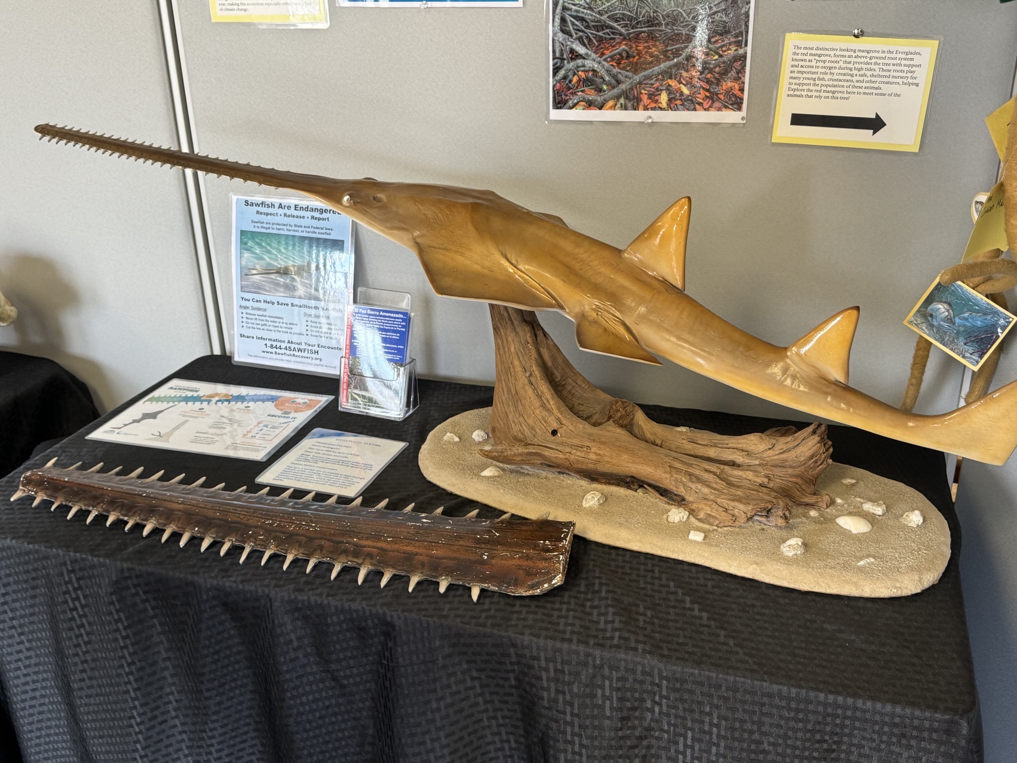Gulf Coast Visitor Center