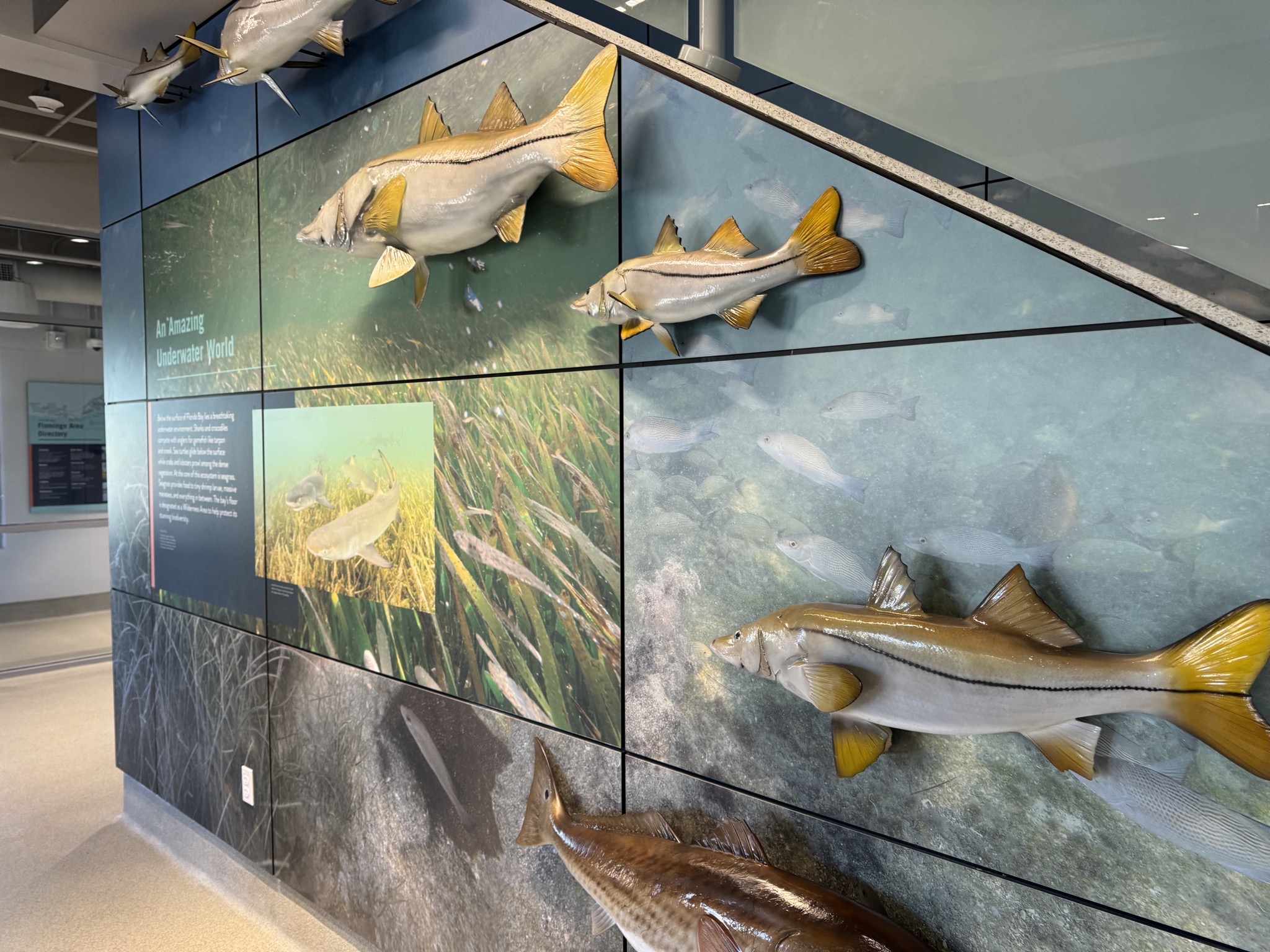 Guy Bradley Visitor Center