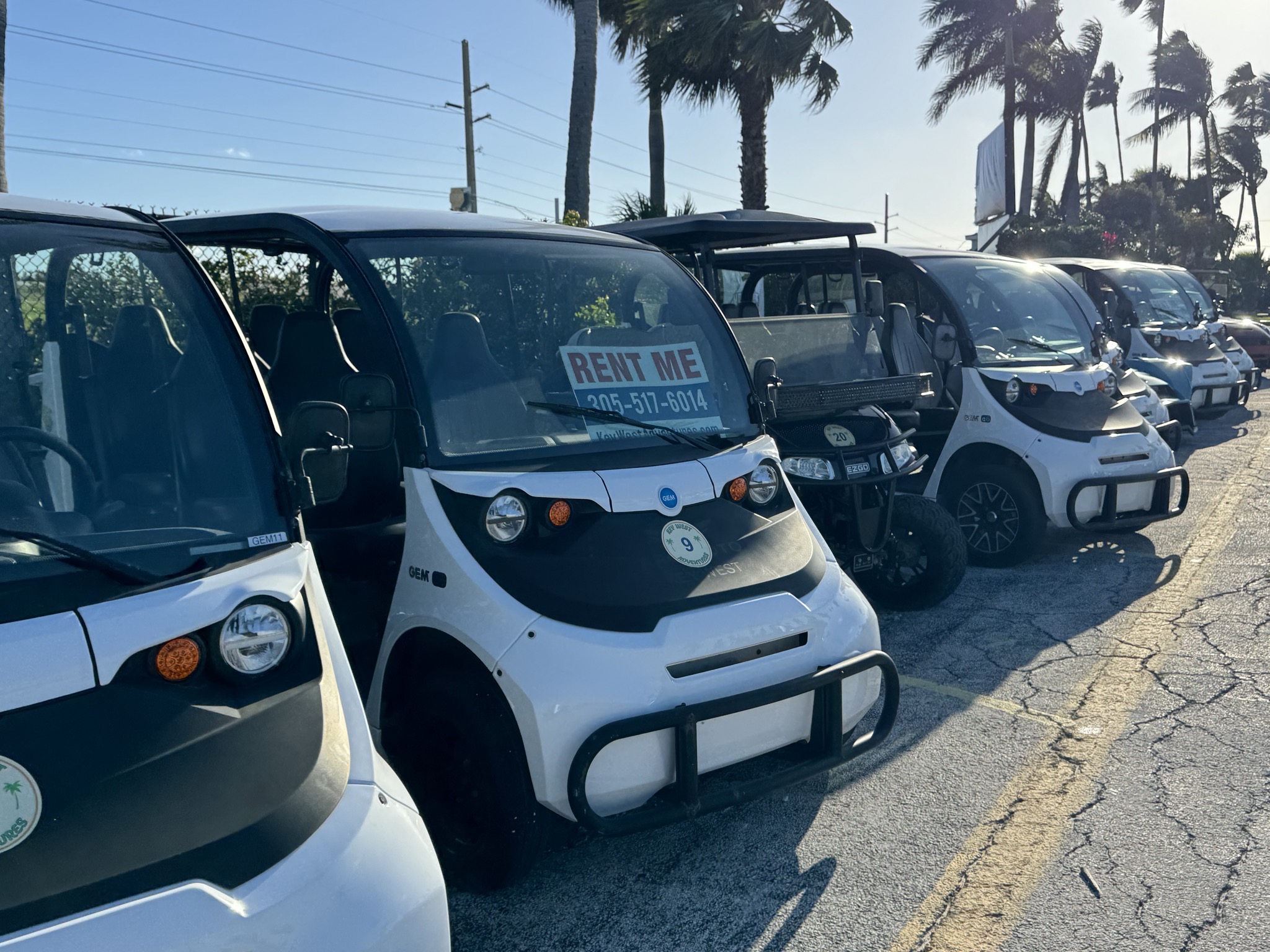 Rental golf carts