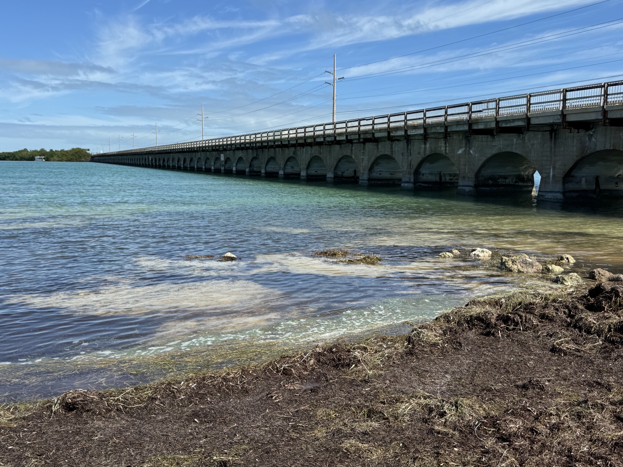 Bridge