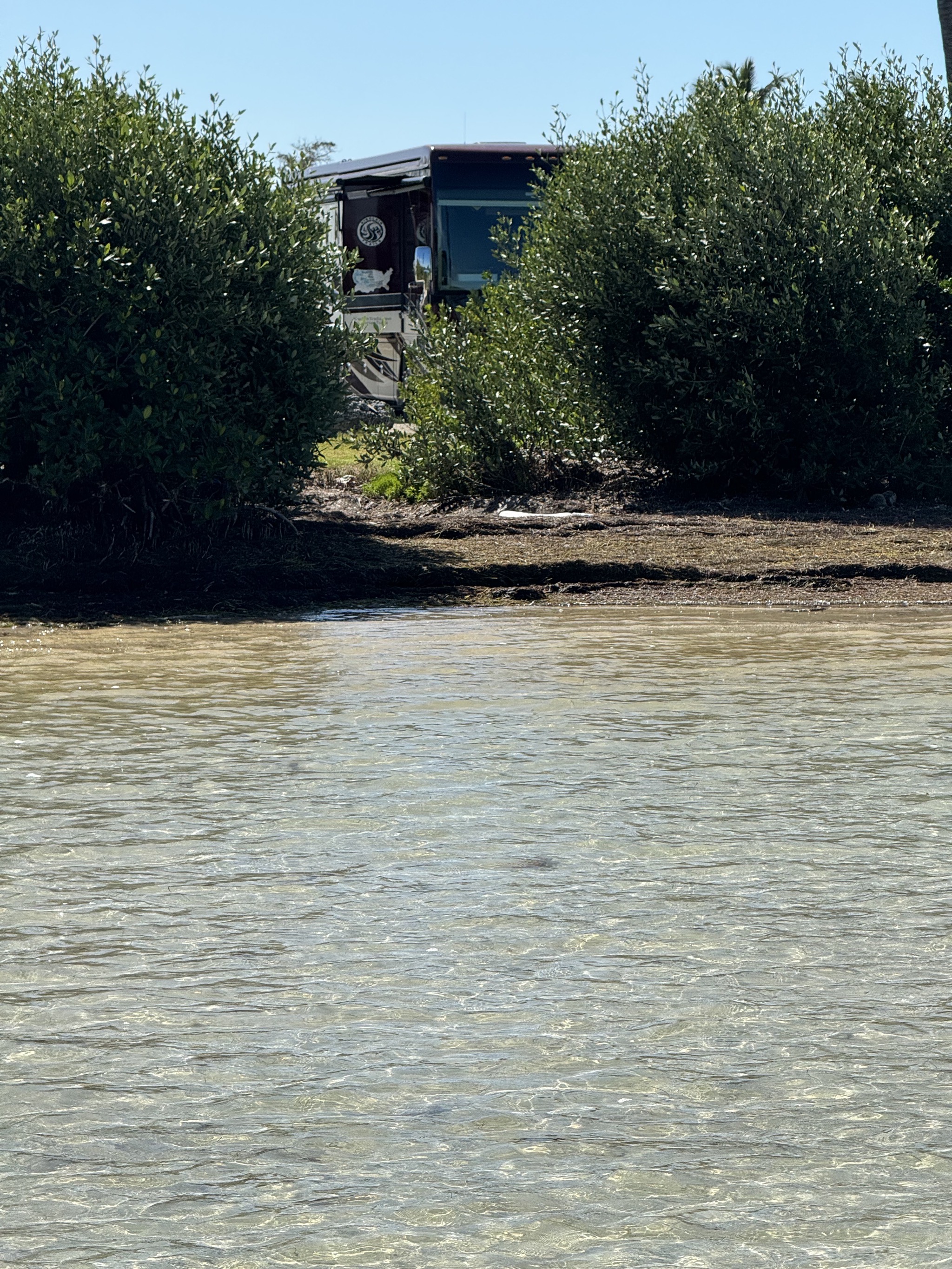 A glimpse of our coach from the water