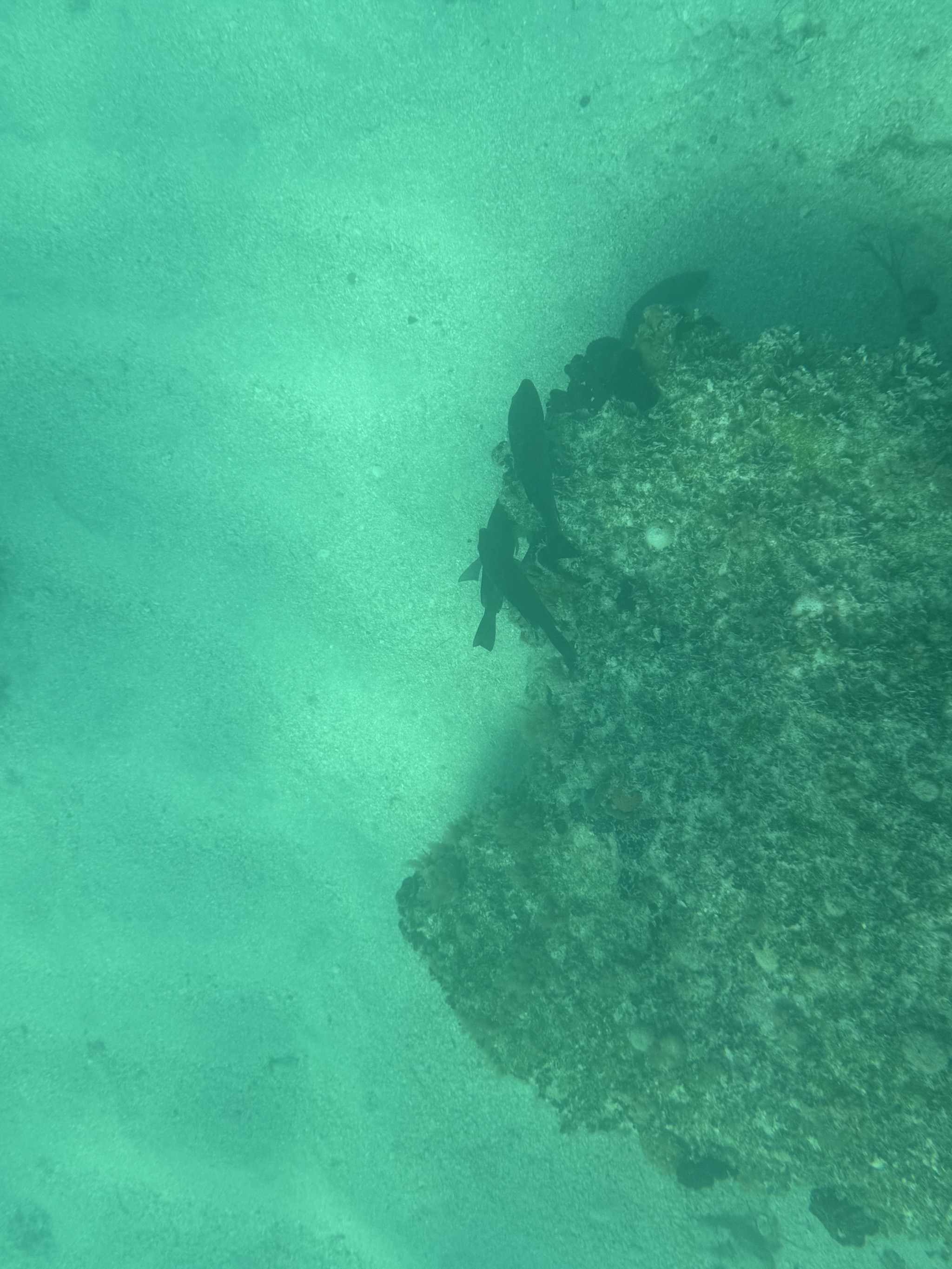 Underwater