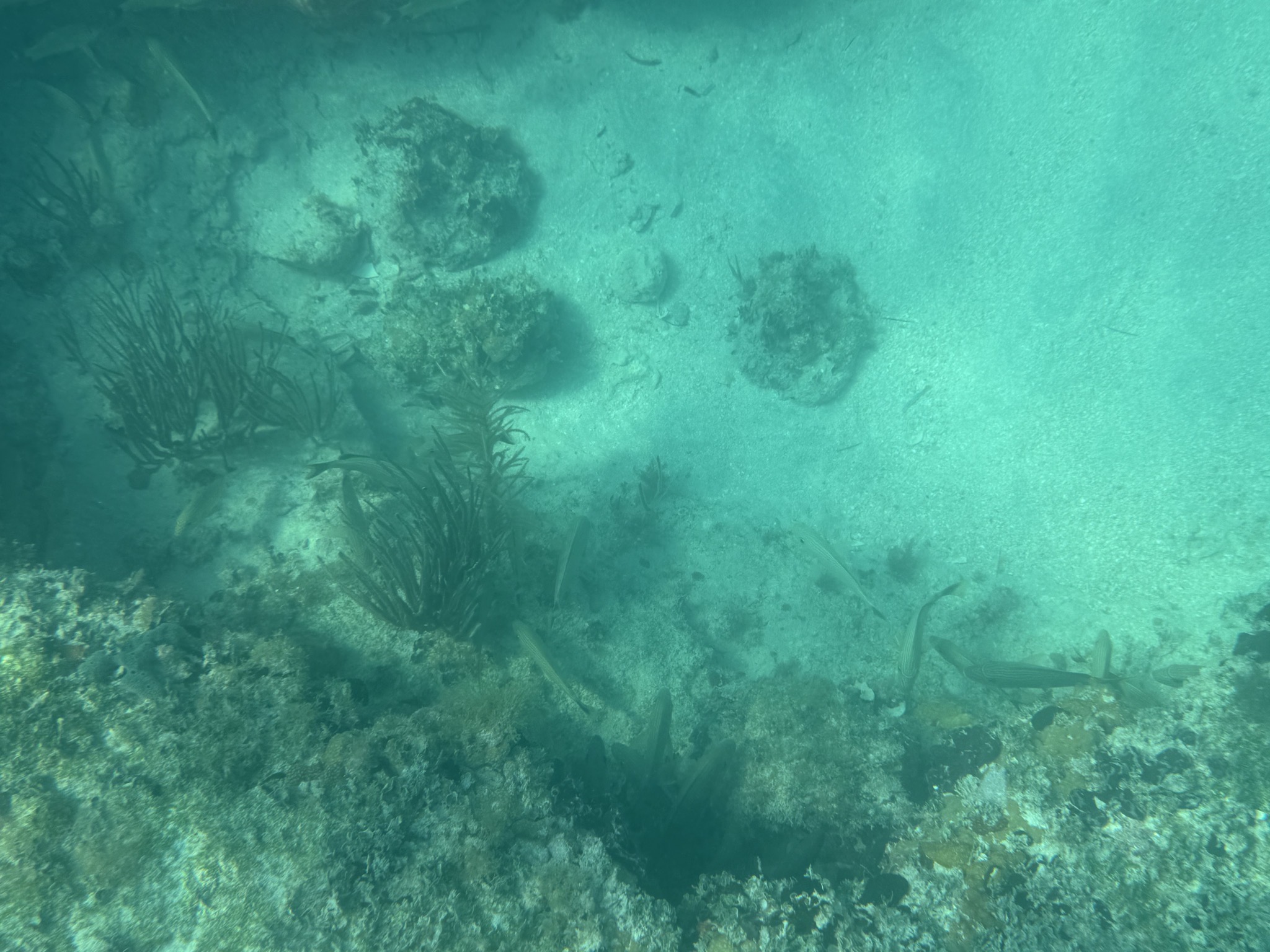 Underwater