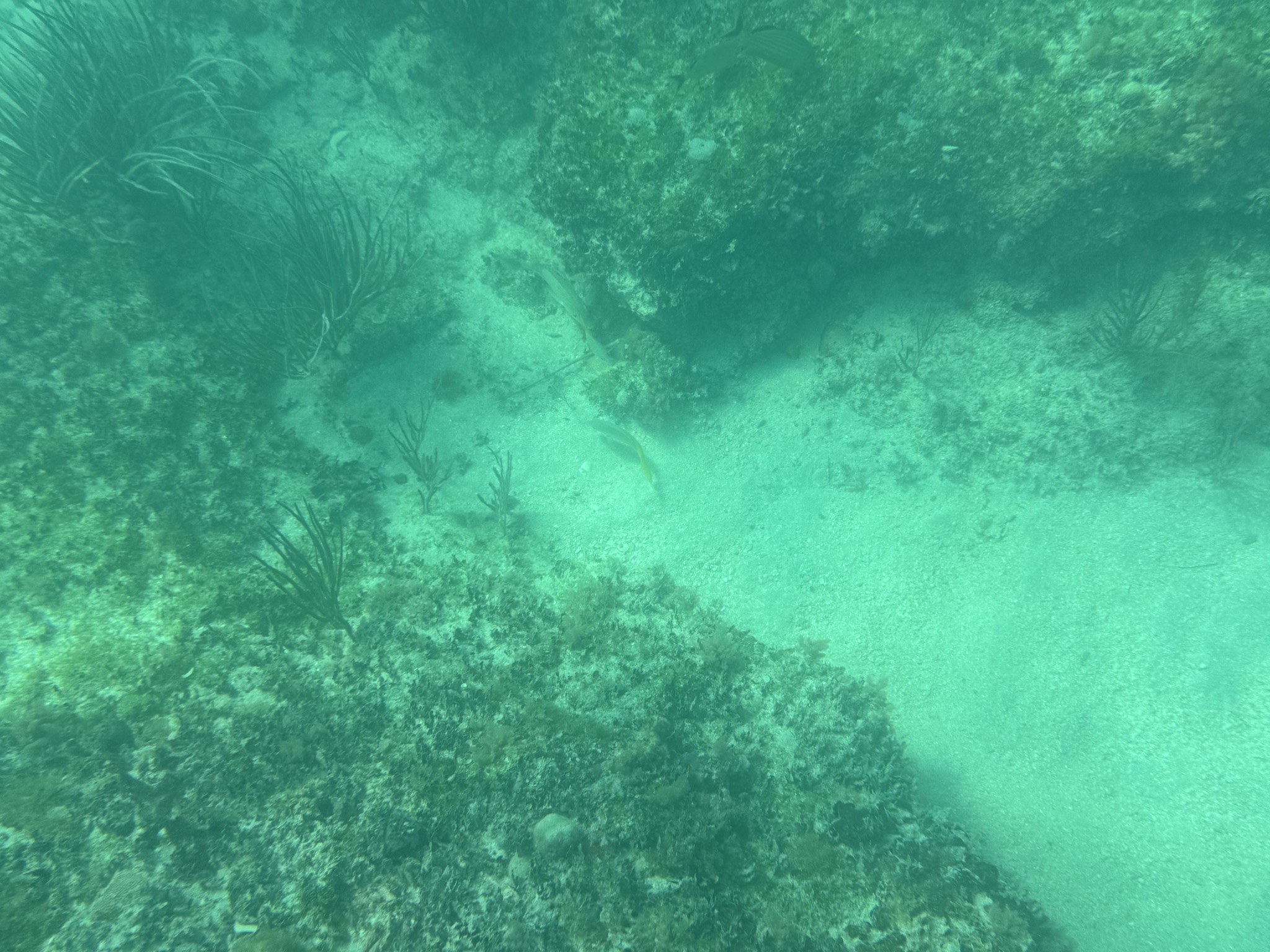 Underwater