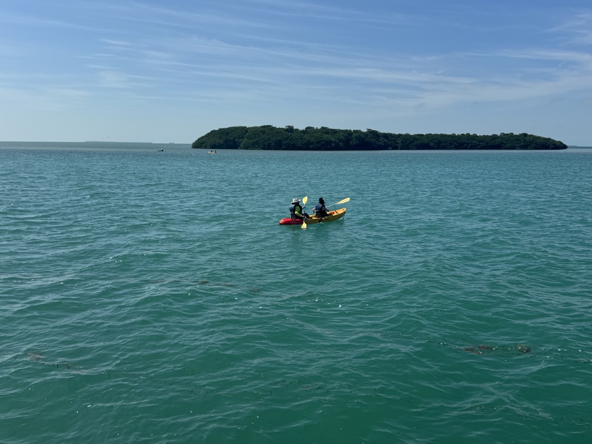Kayak