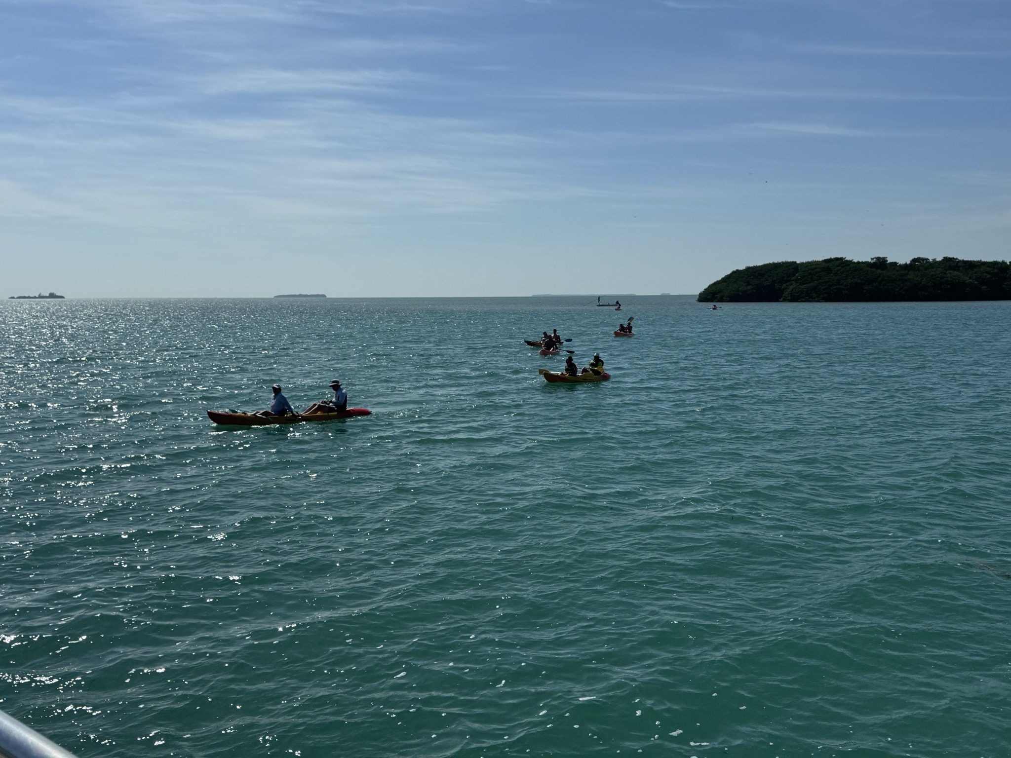 Kayaks