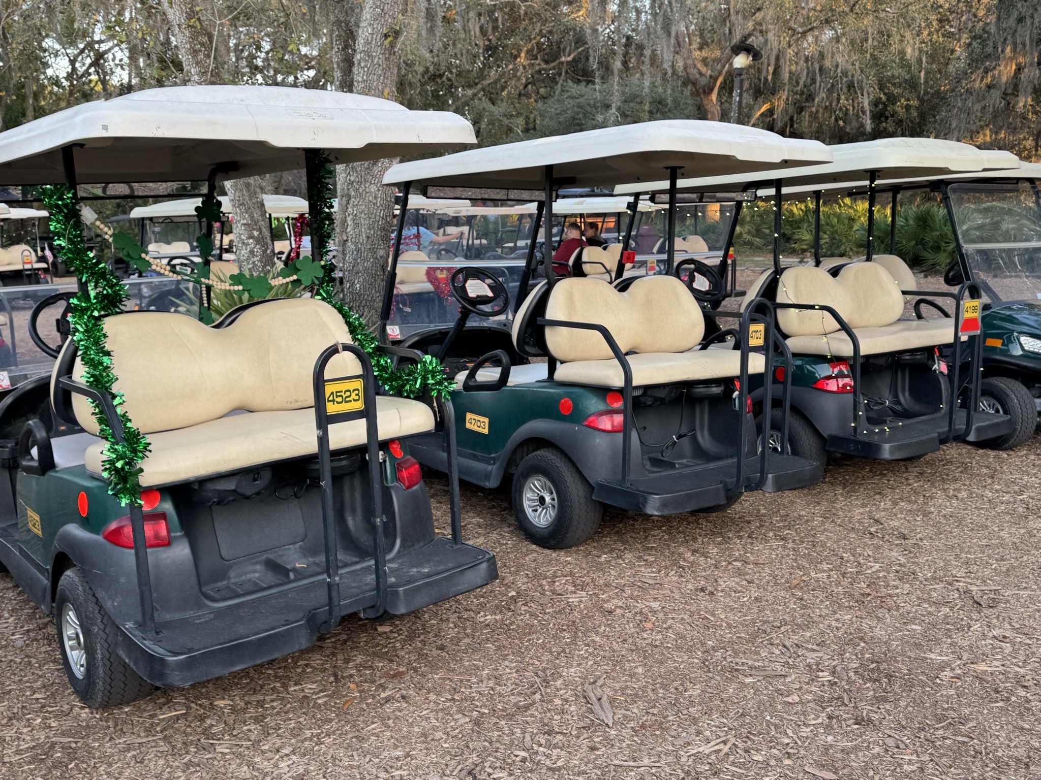Decorated golf carts