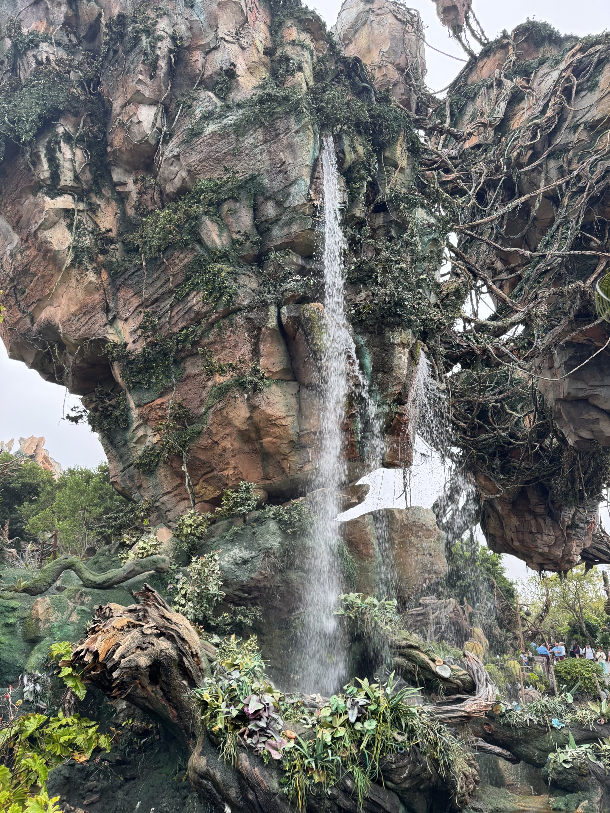 Avatar land