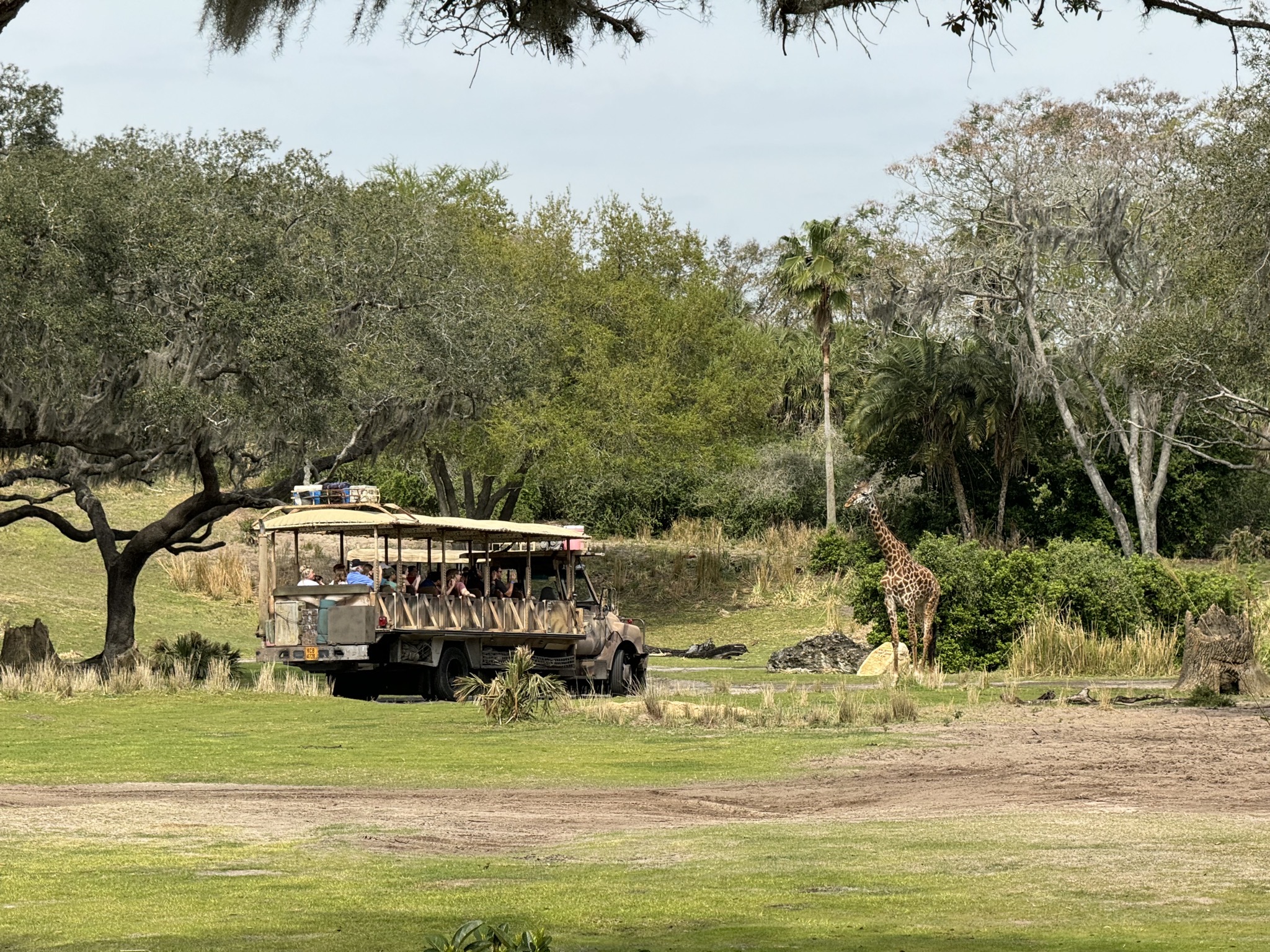 Africa