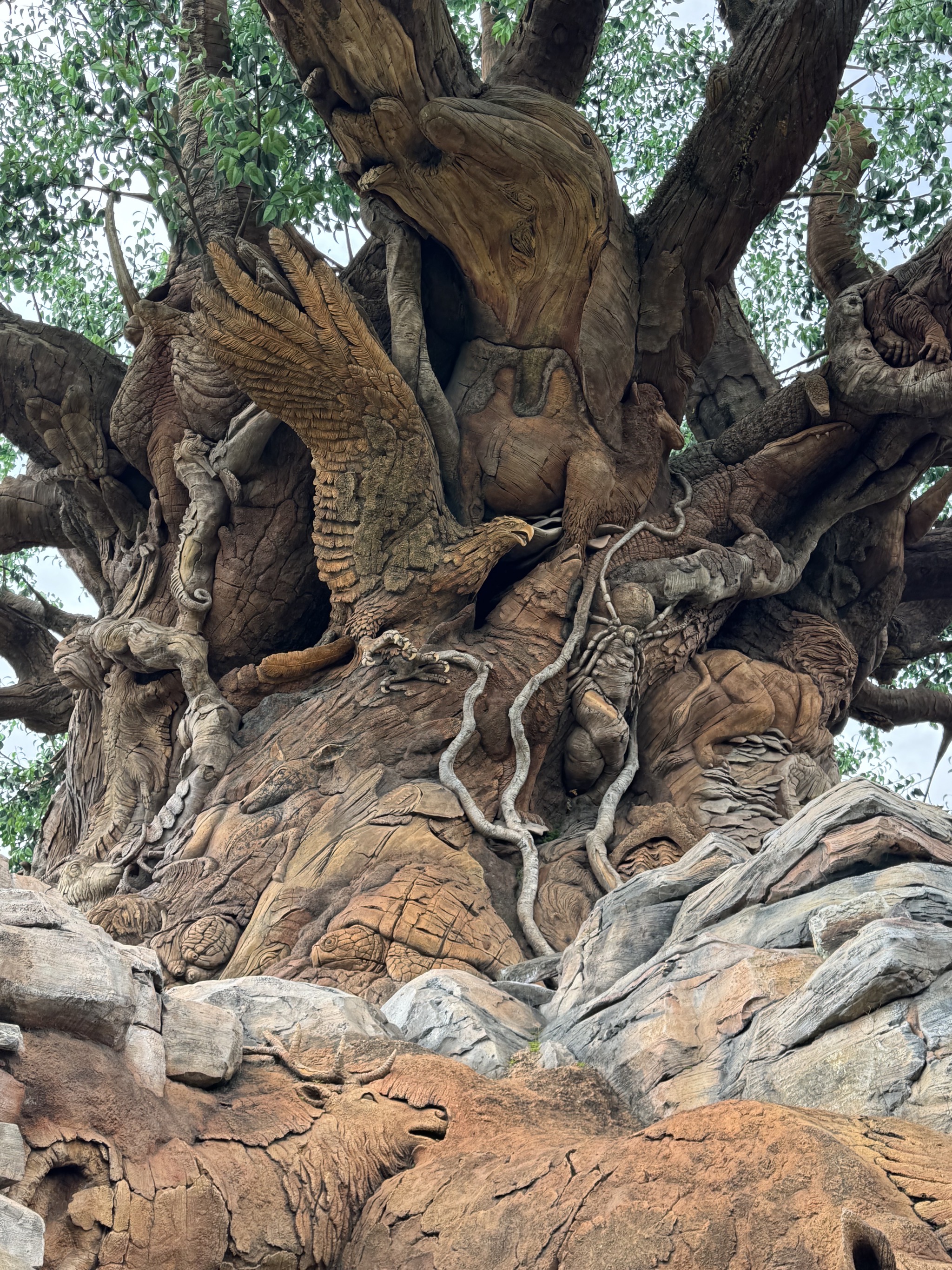 Tree of Life