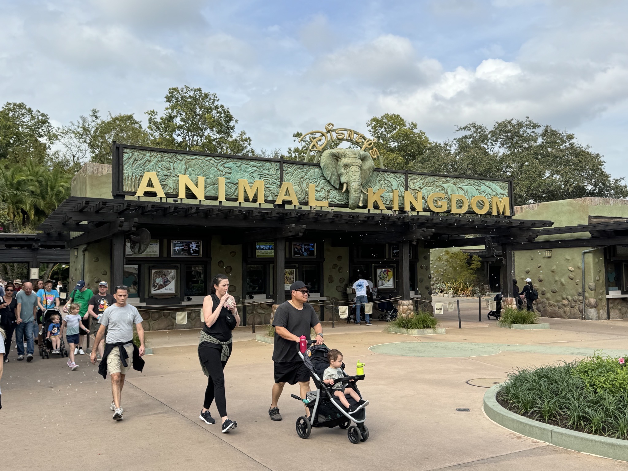 Leaving Animal Kingdom