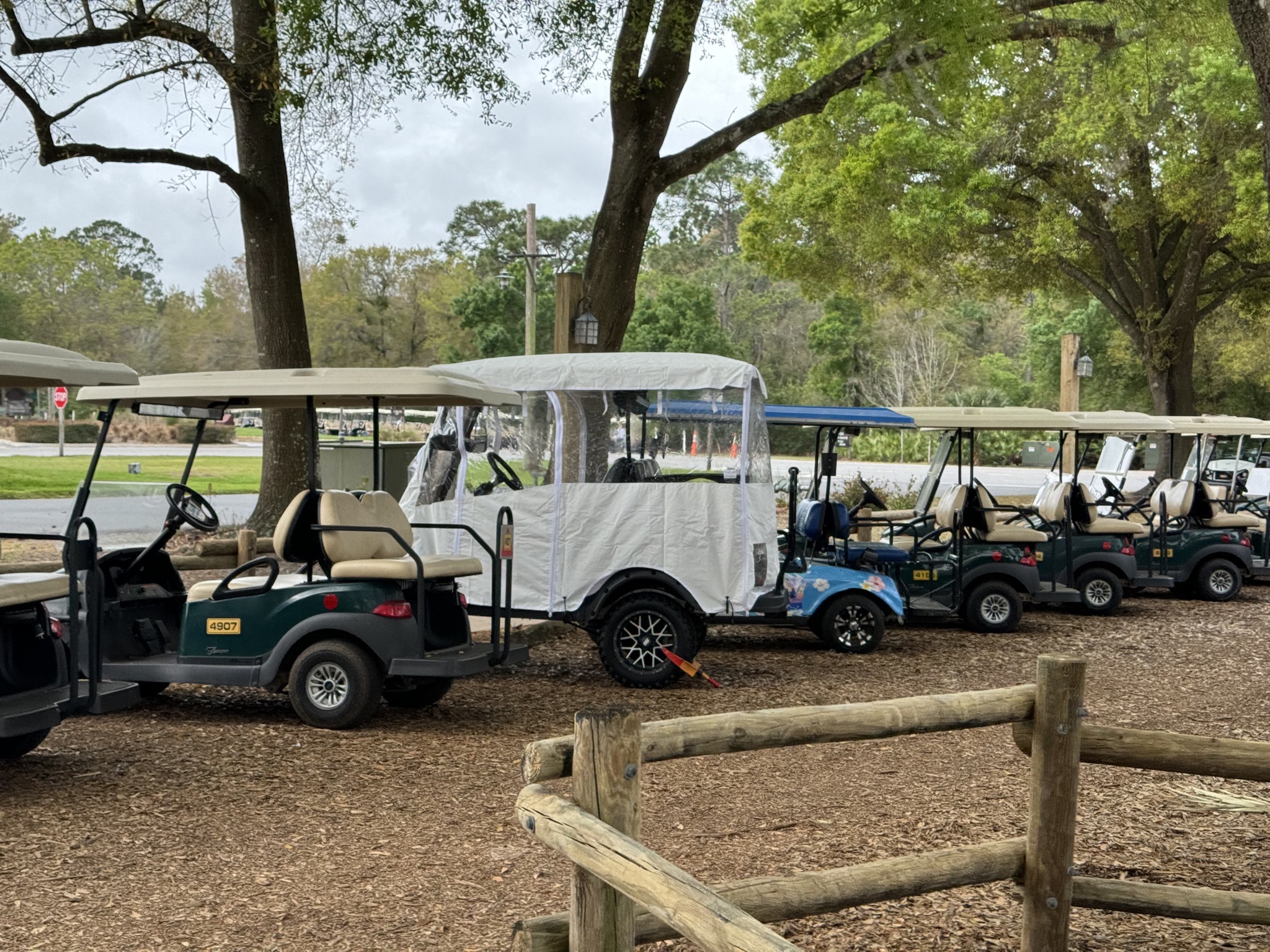 Decorated golf carts