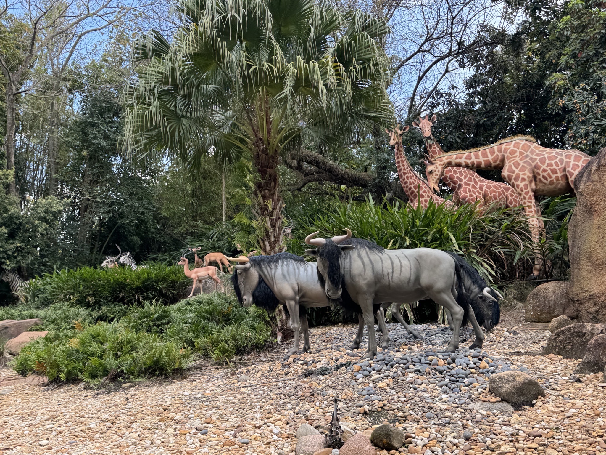 Jungle Cruise