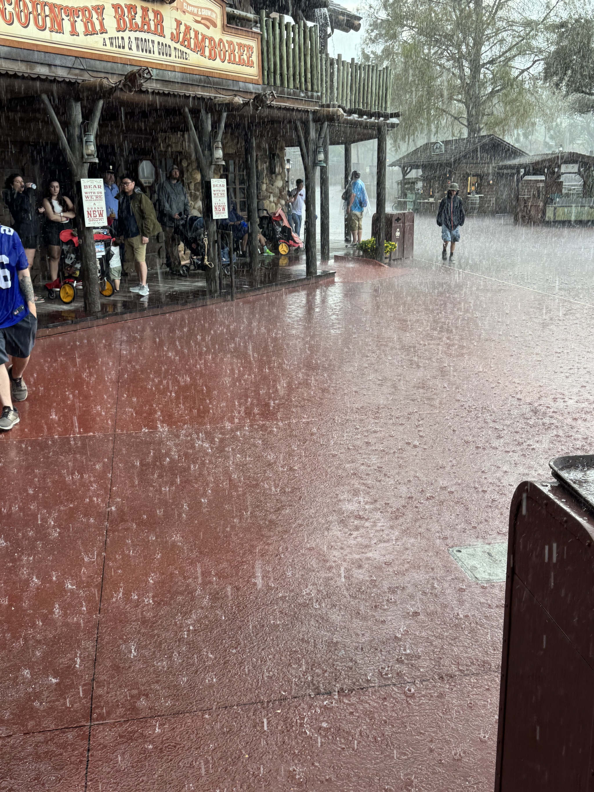 Rain