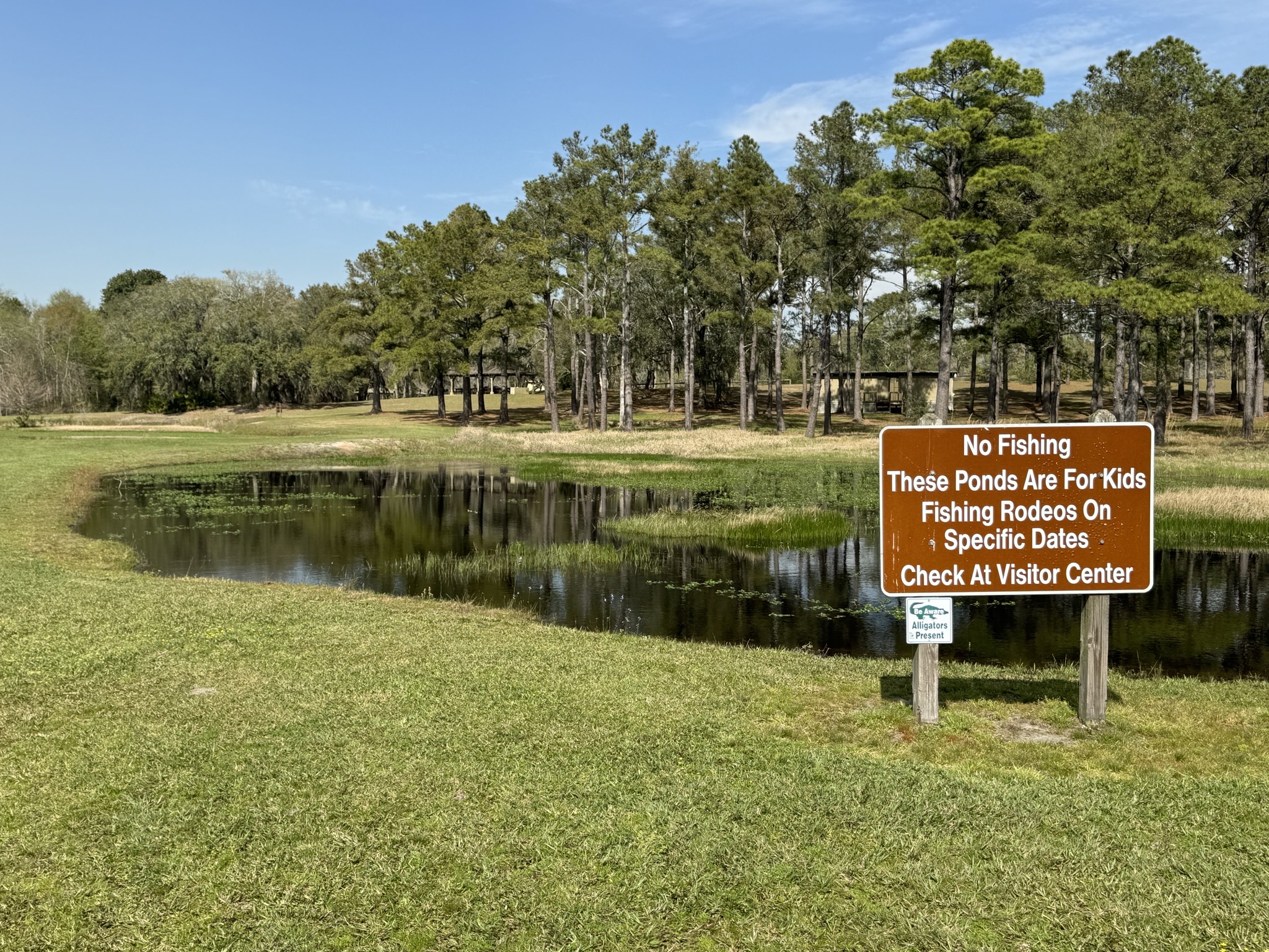 Kids fishing ponds