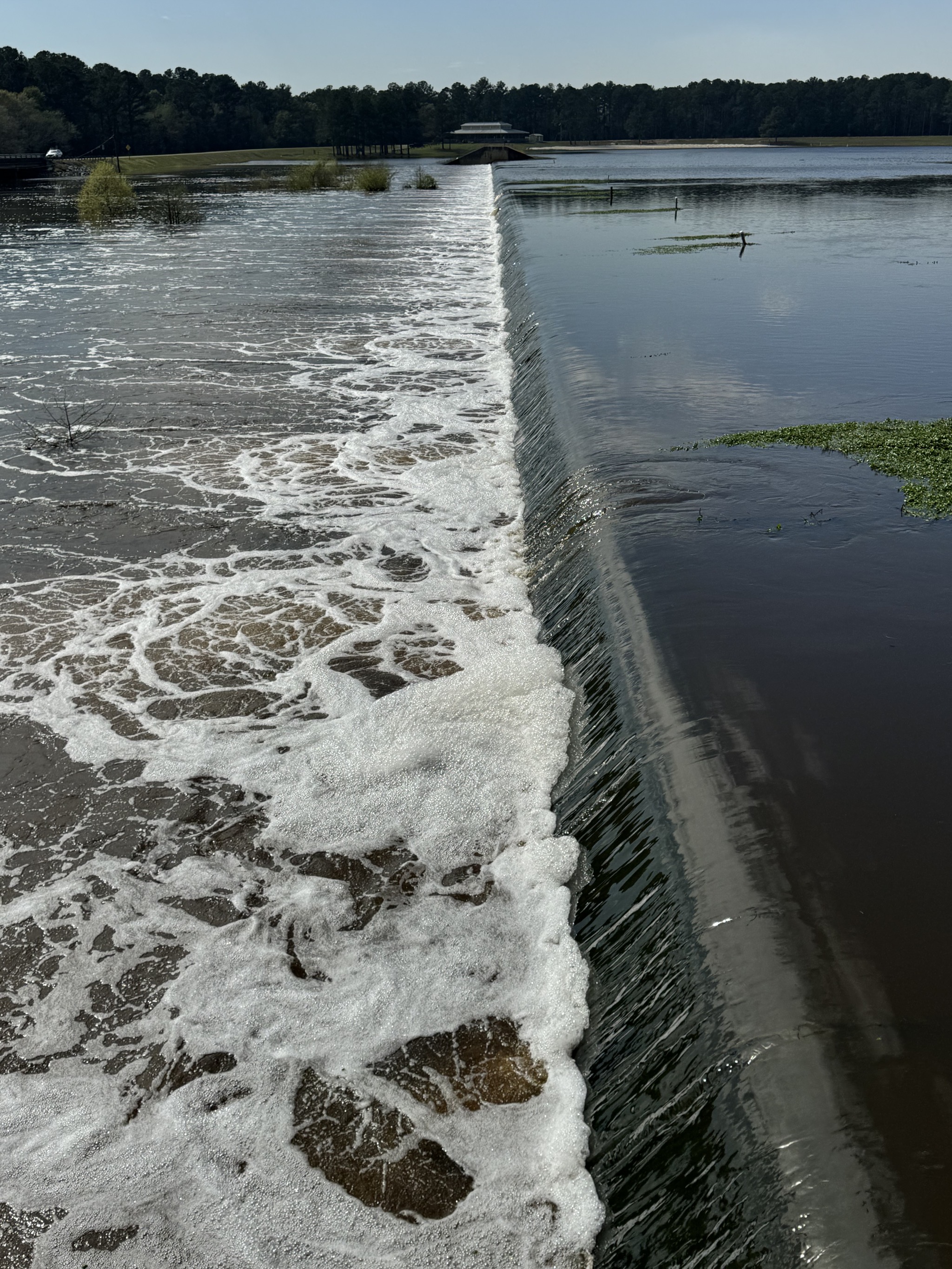 Dam