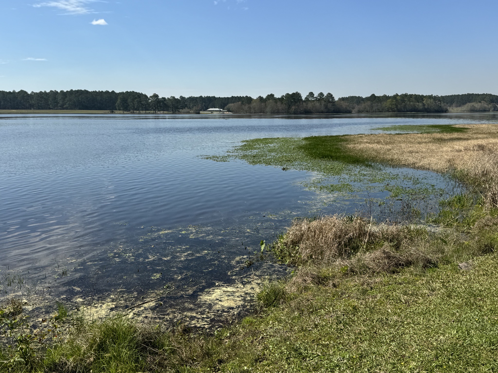 Lake