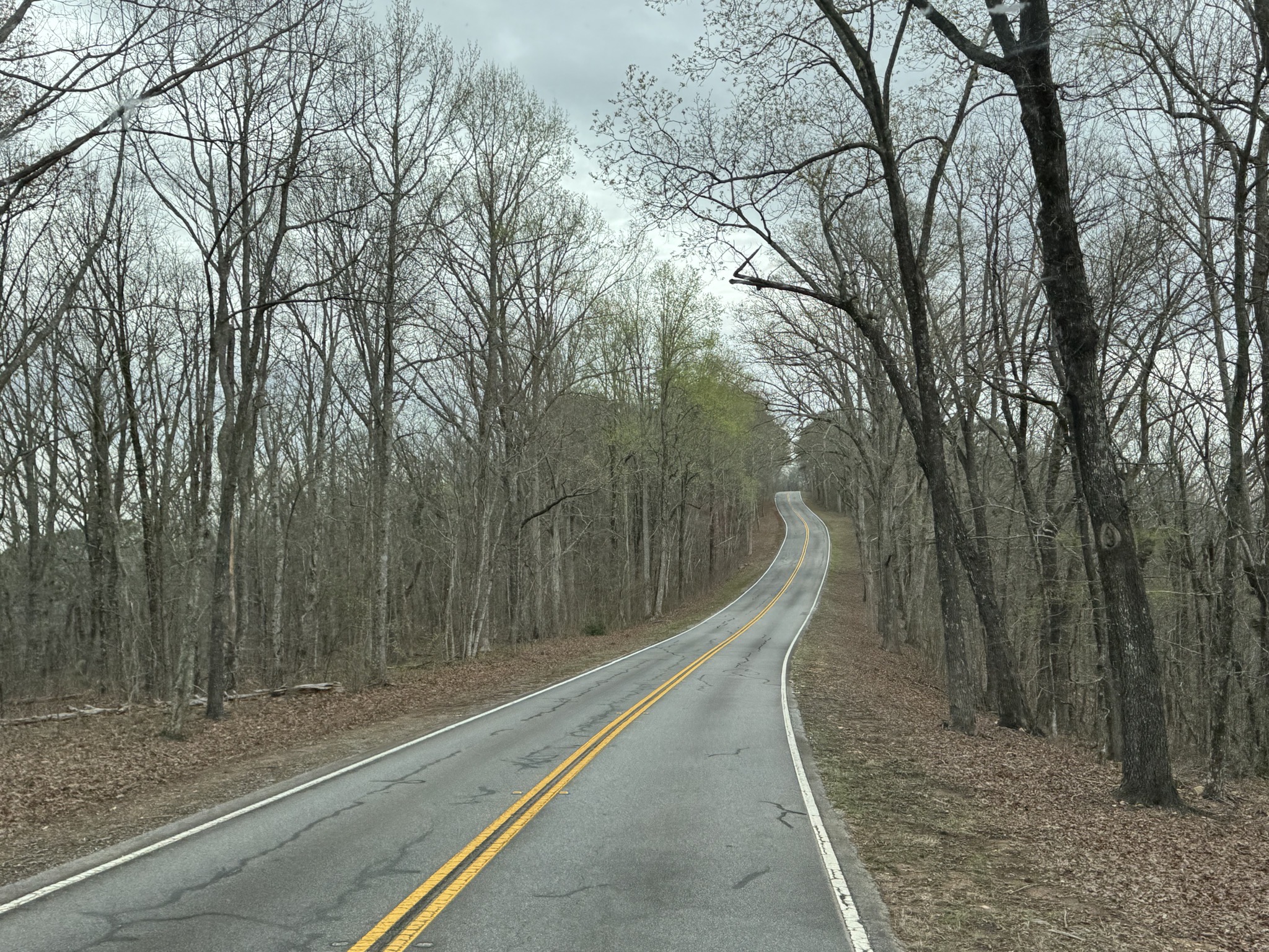 Uphill in the park