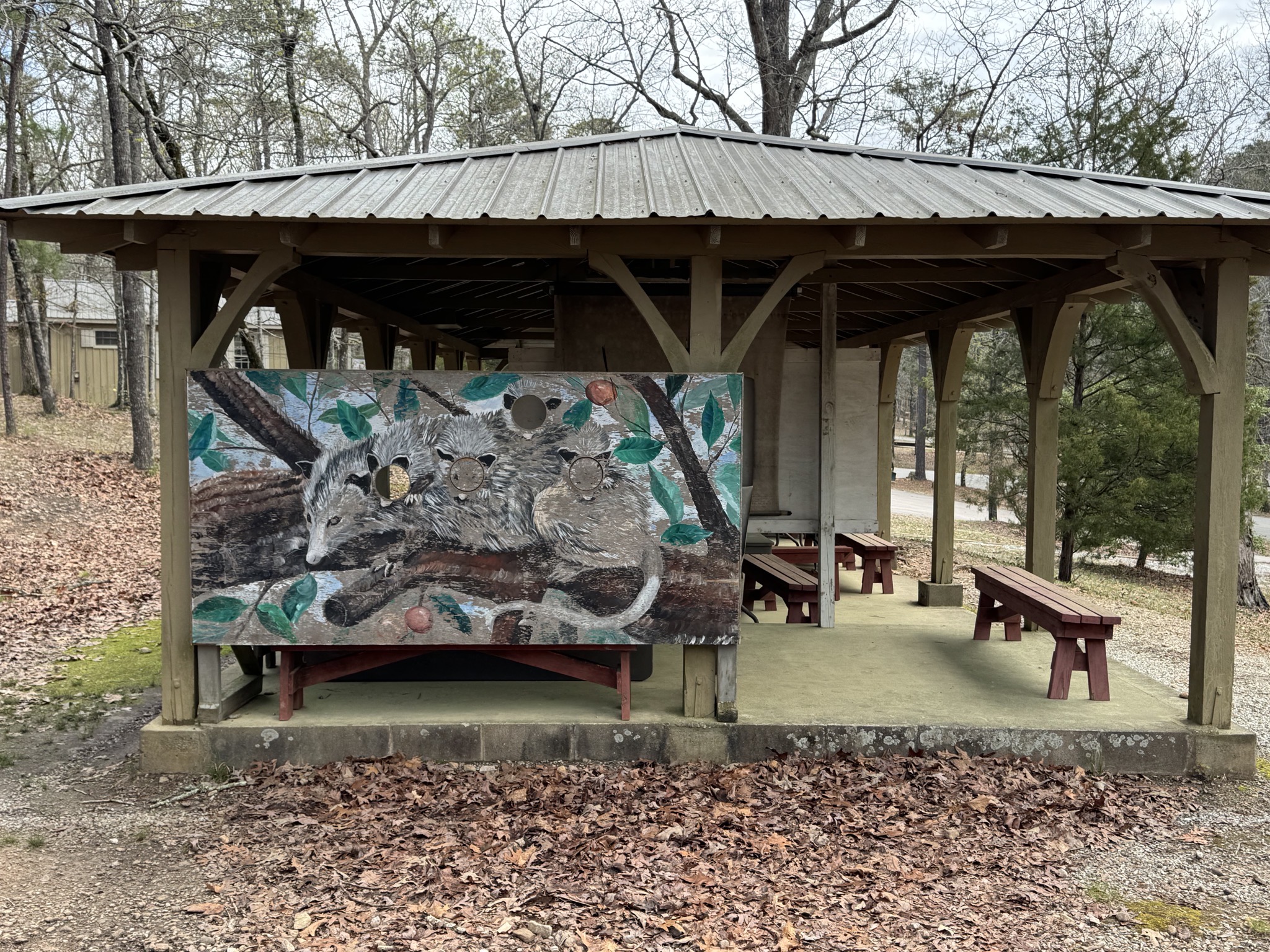 Shelter