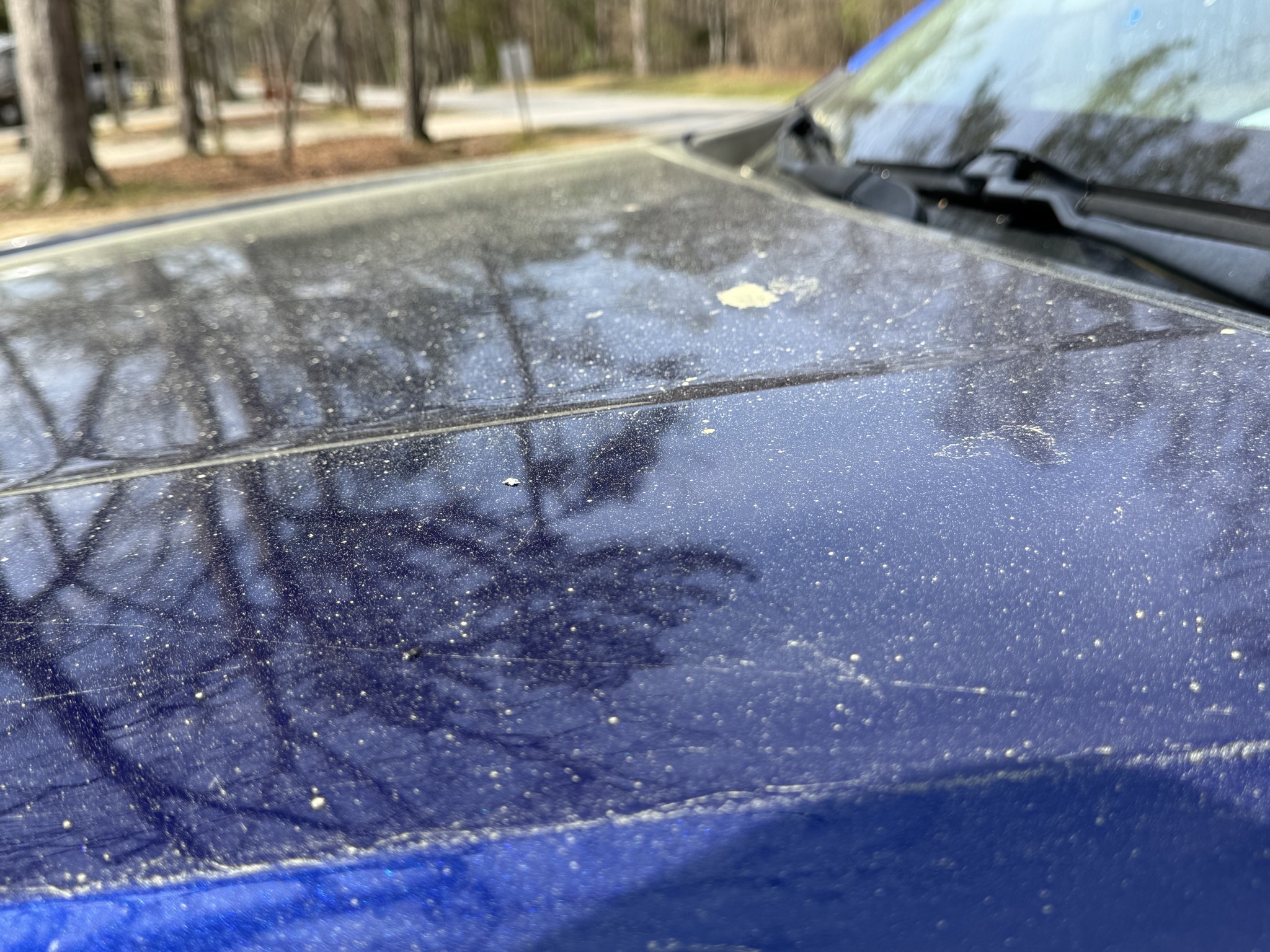 Pollen on truck
