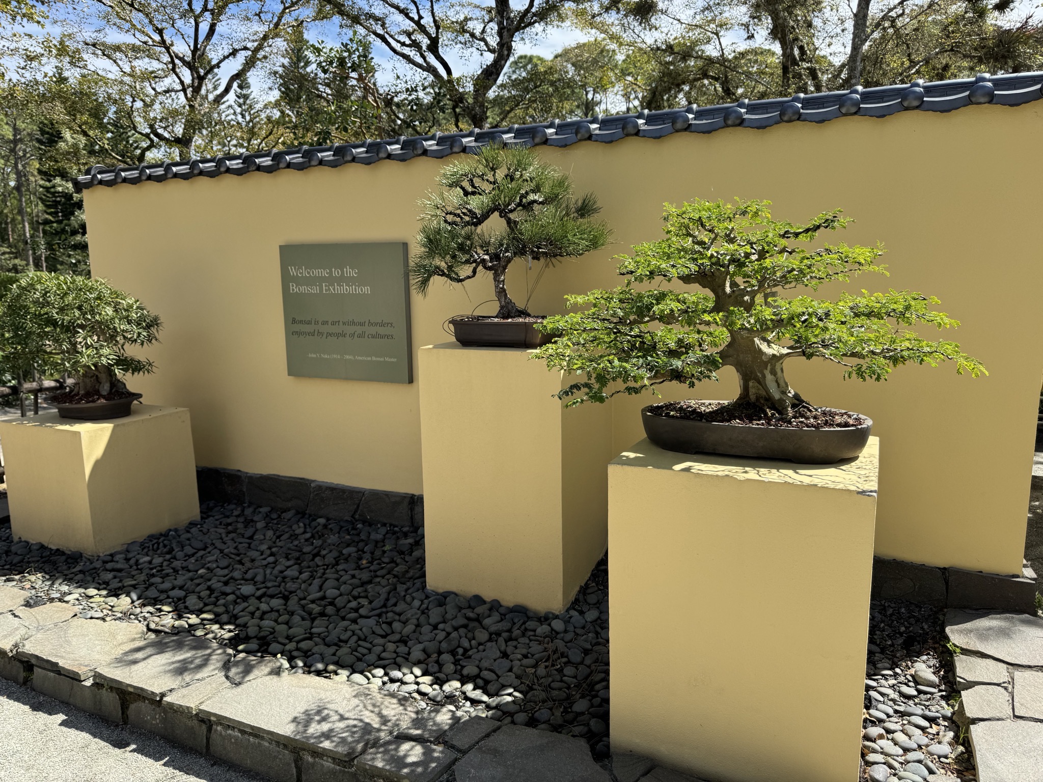 Bonsai garden