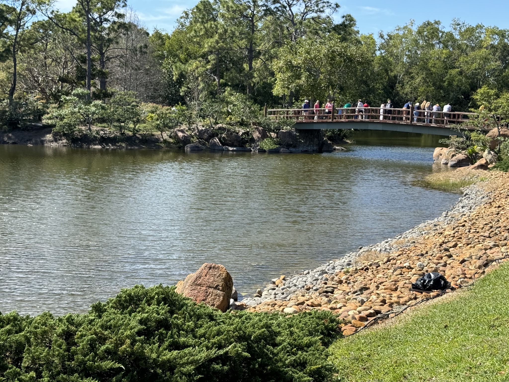 Pond and bridge