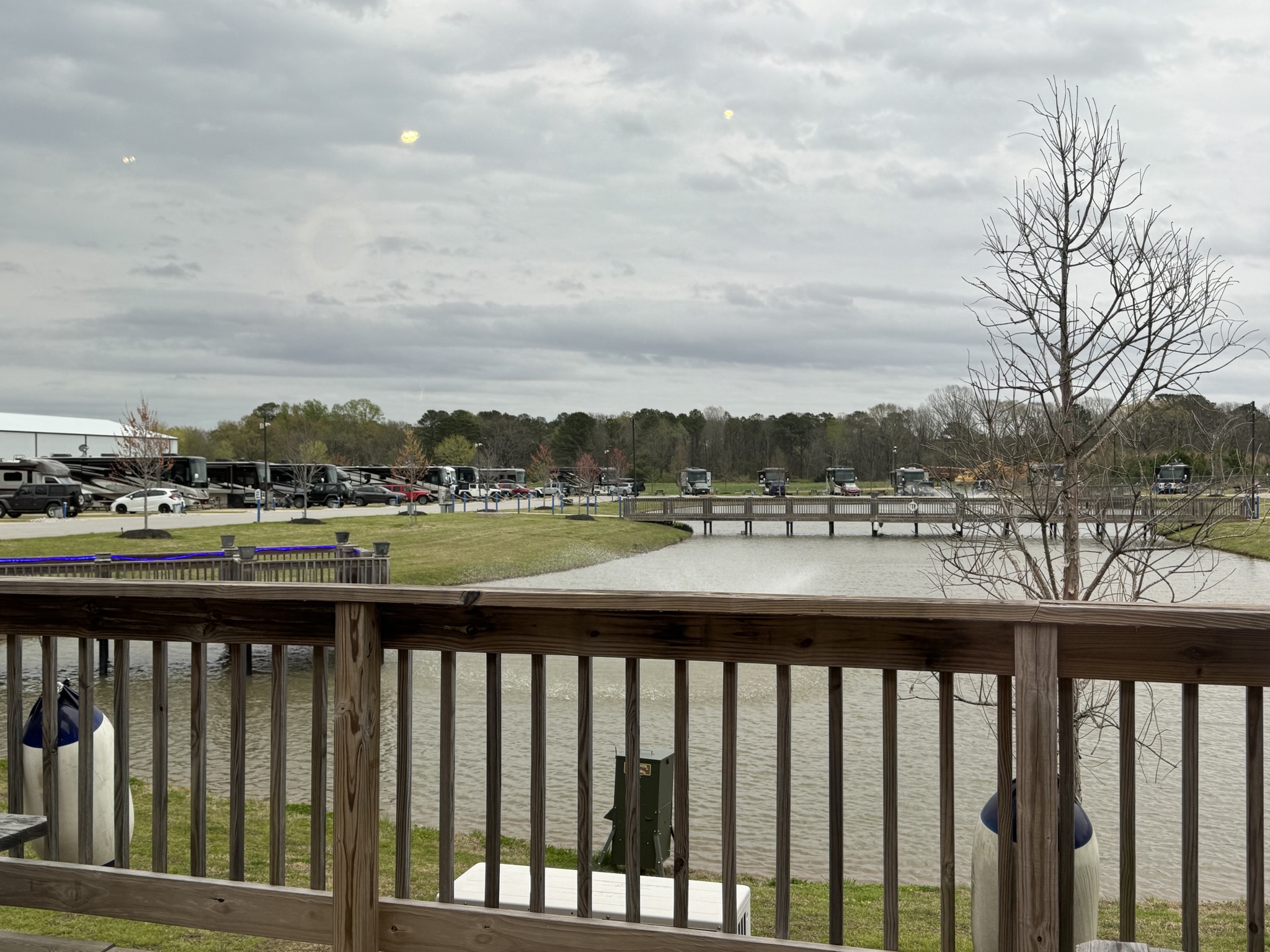 Pond view from inside