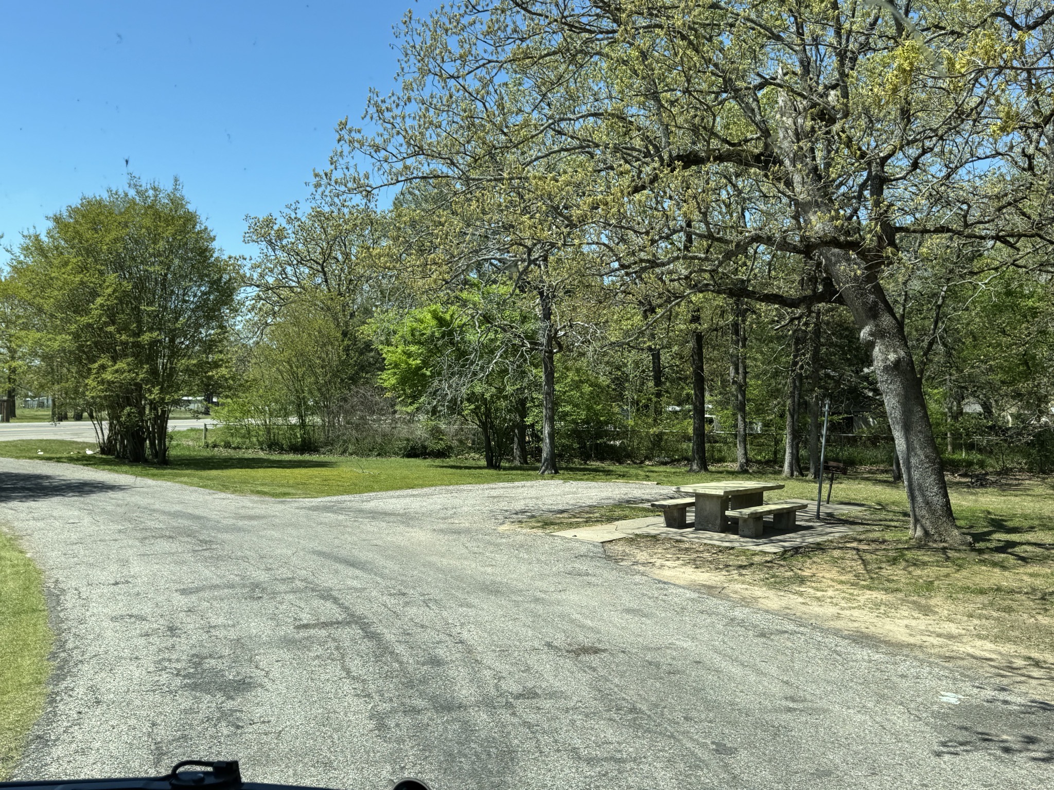 Picnic area