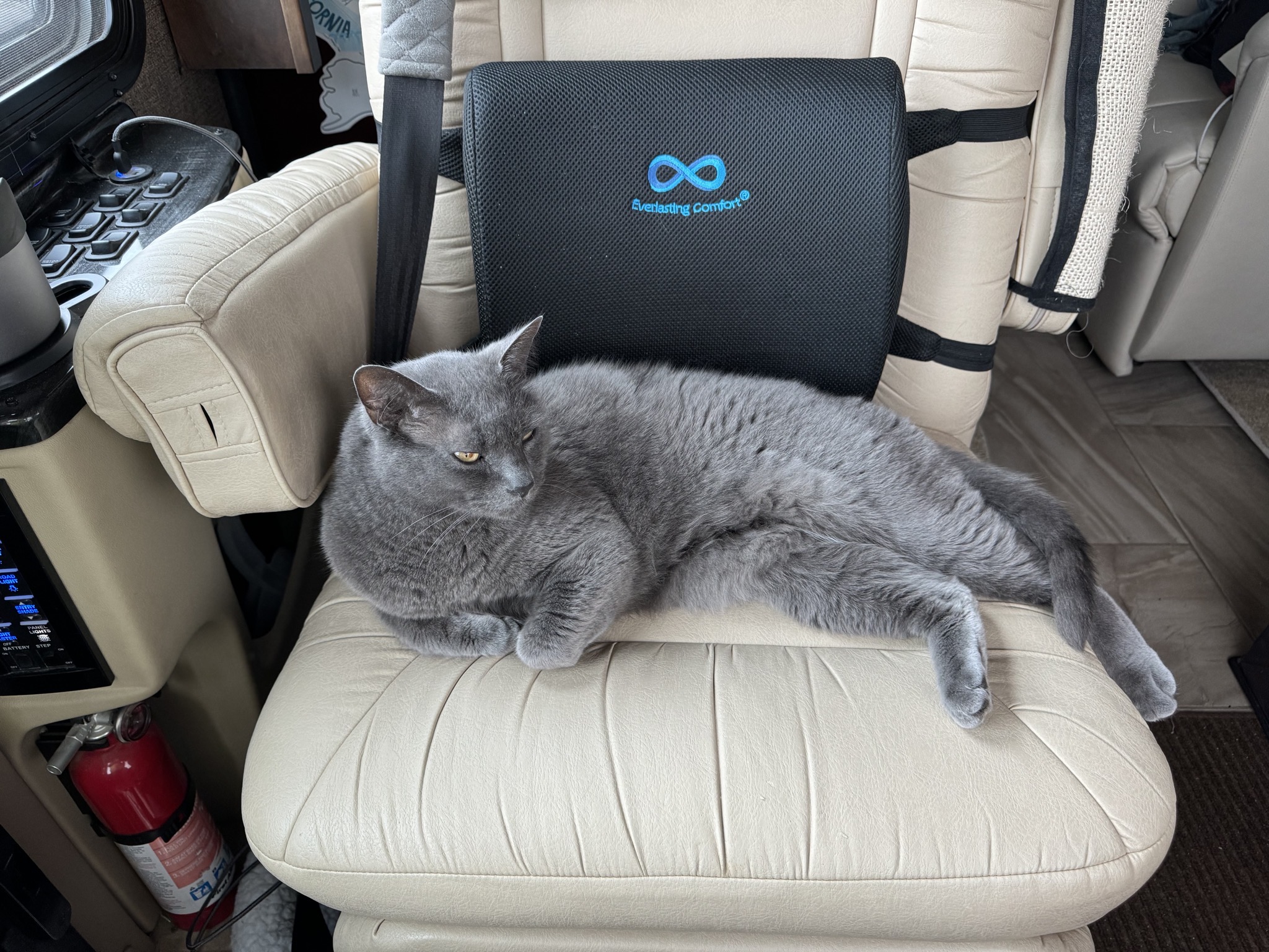Paladin on passenger chair