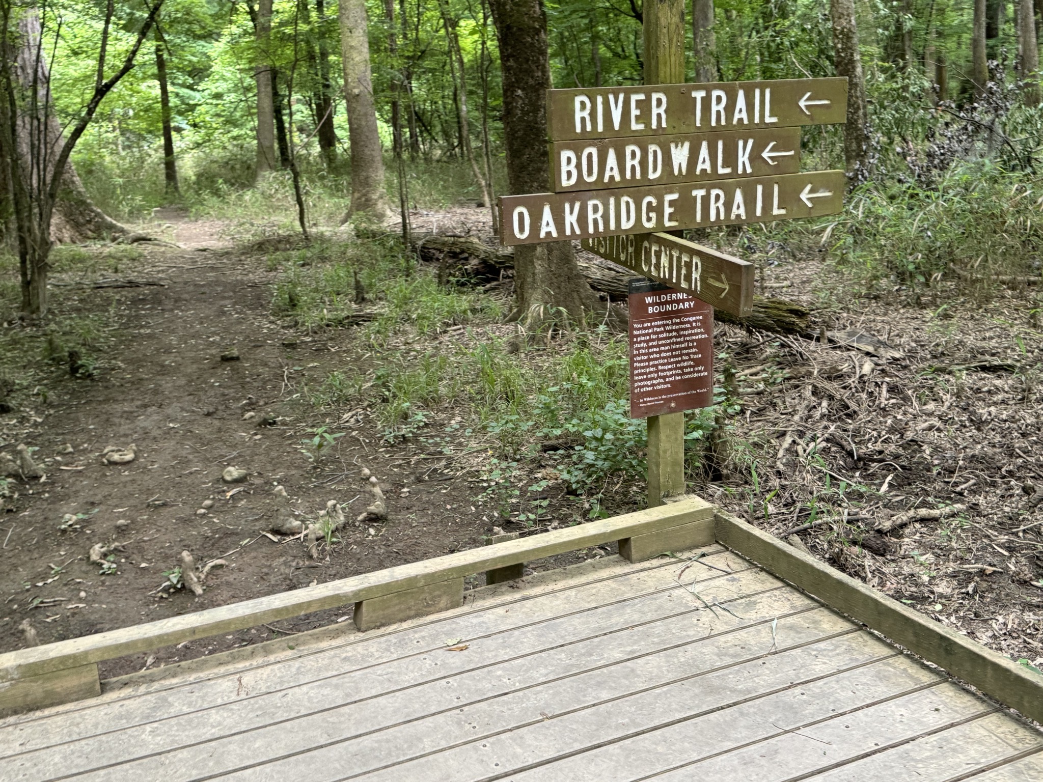 Boardwalk