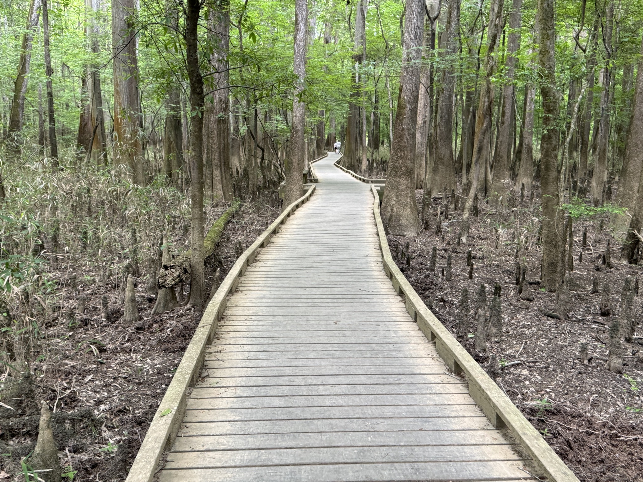 Boardwalk