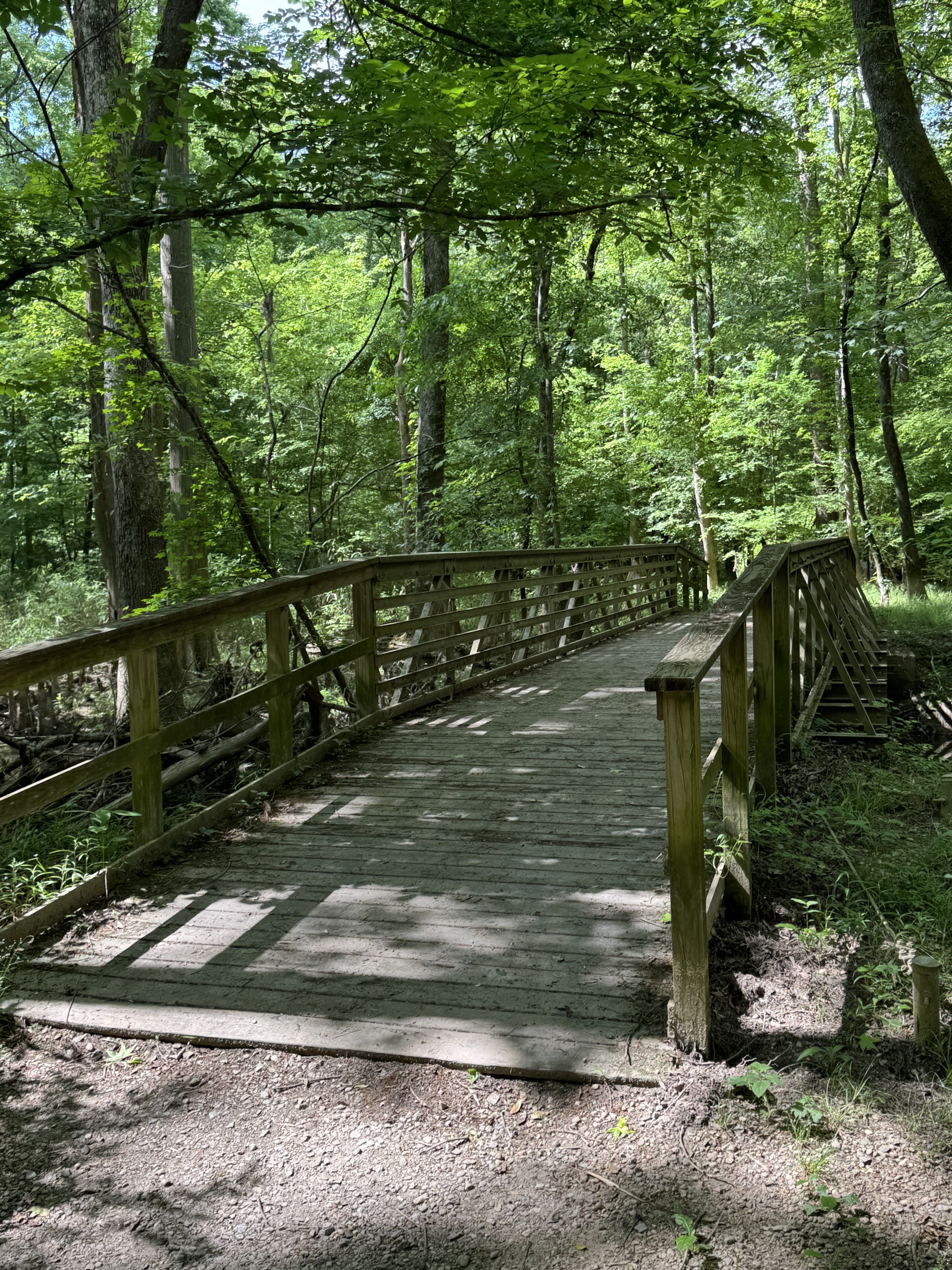 Boardwalk