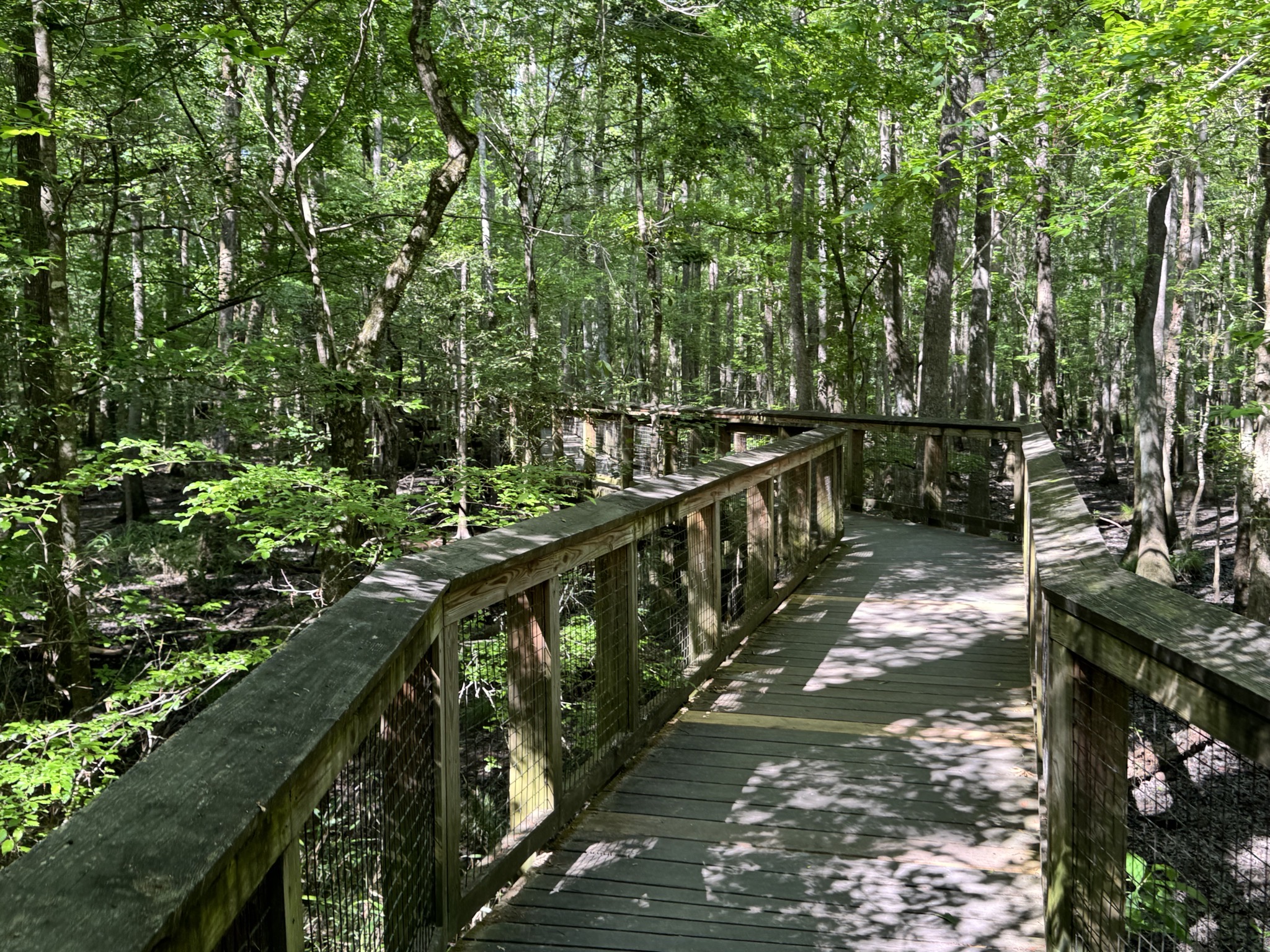 Boardwalk
