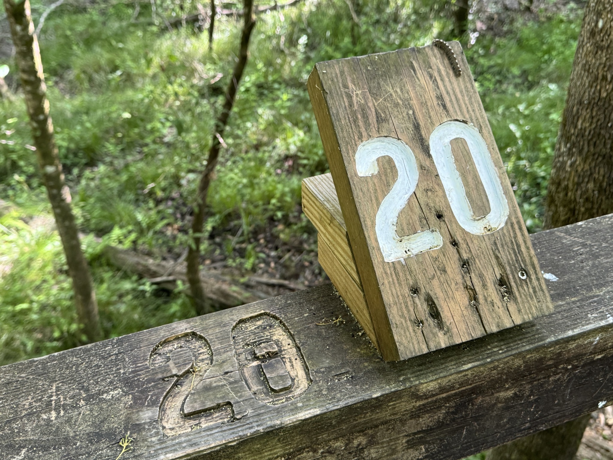 Marker