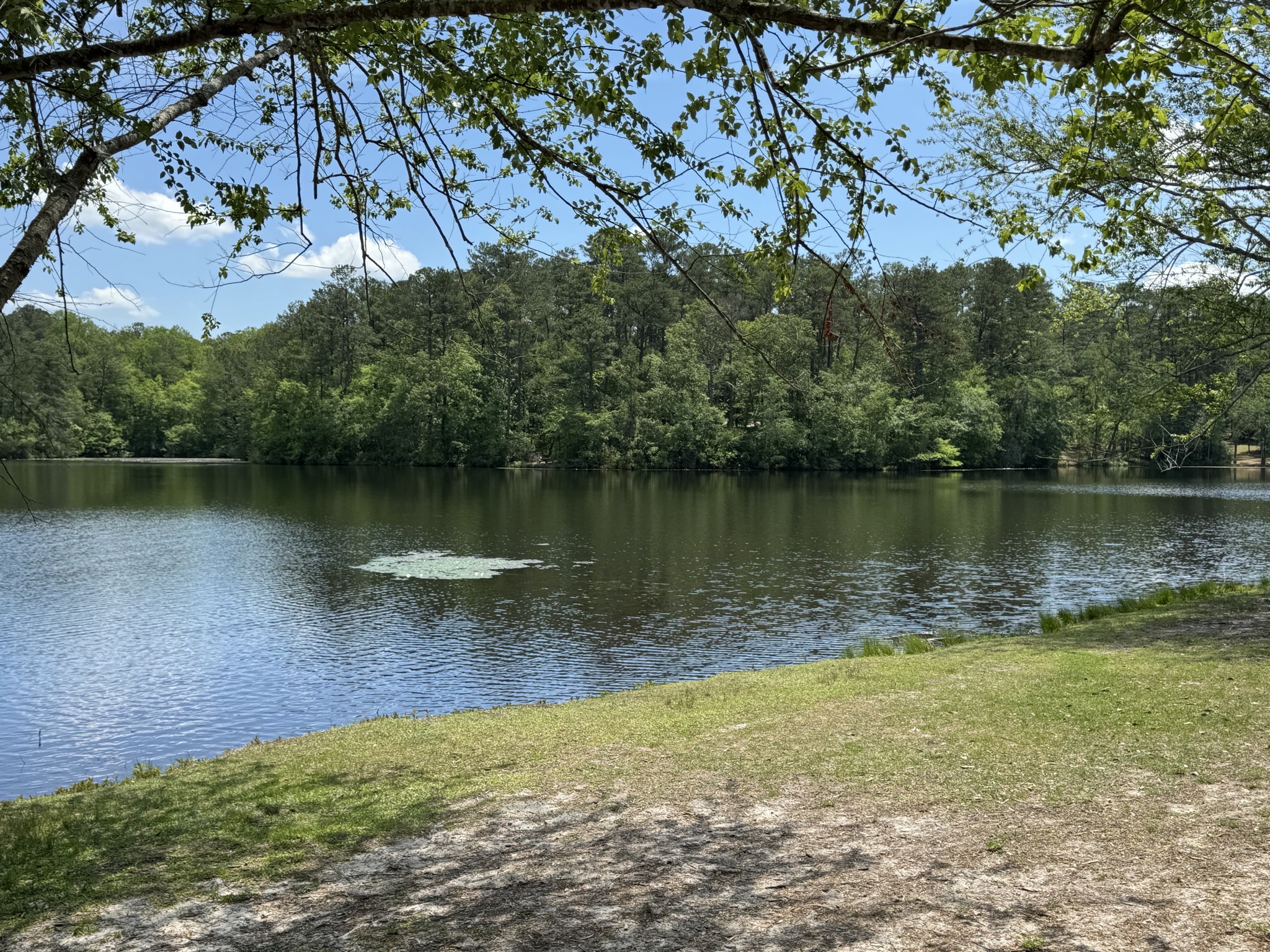 Lake