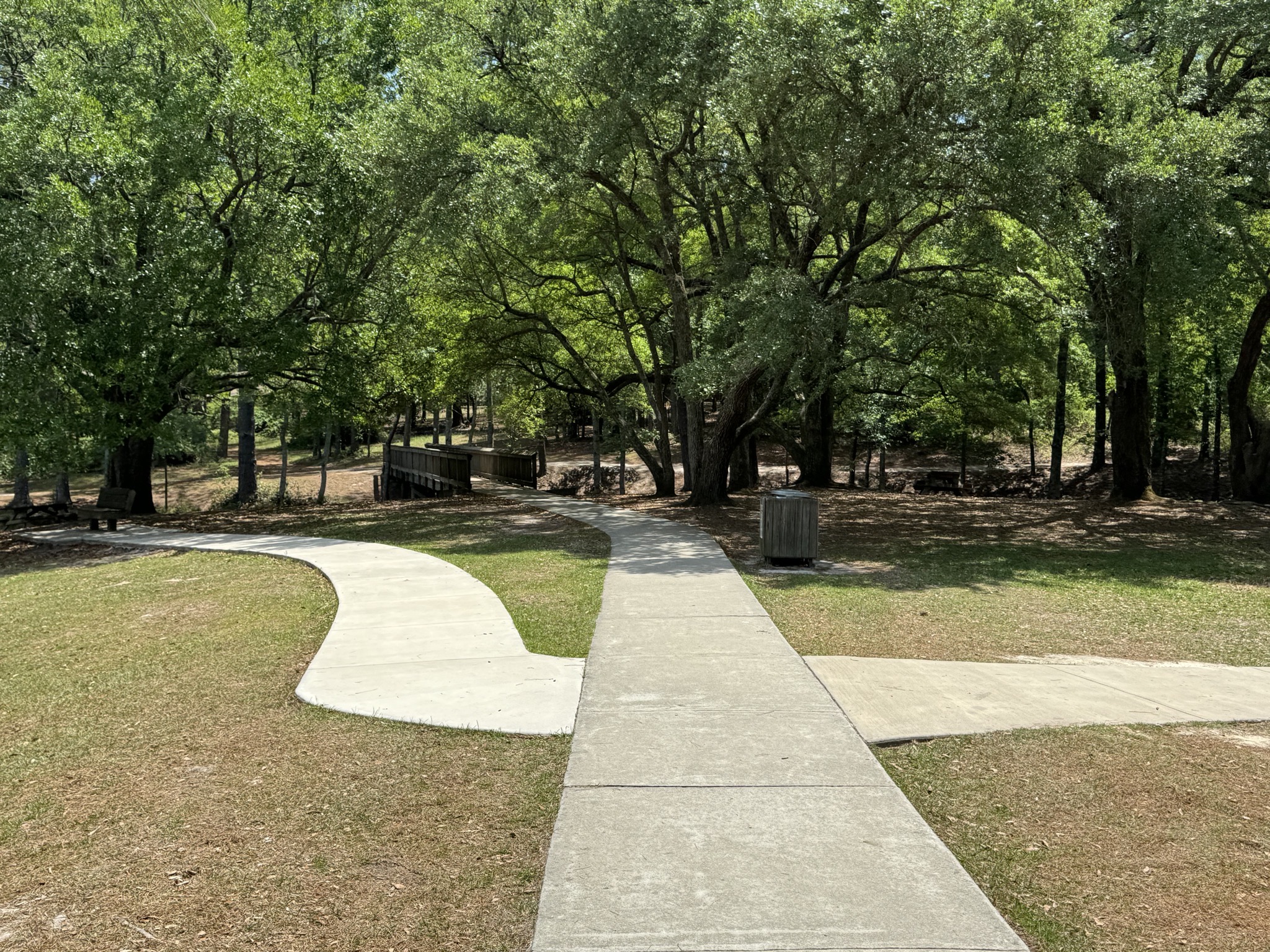 Path