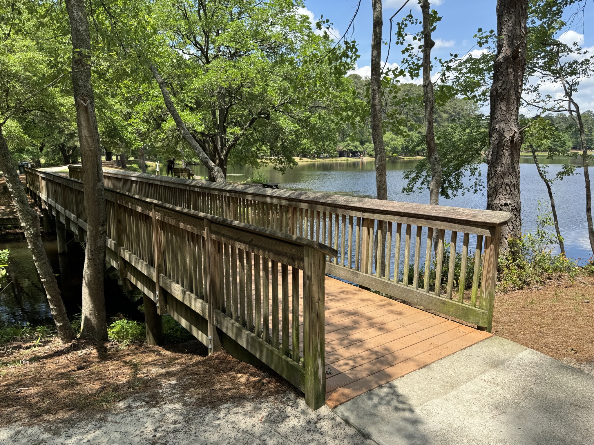 Bridge