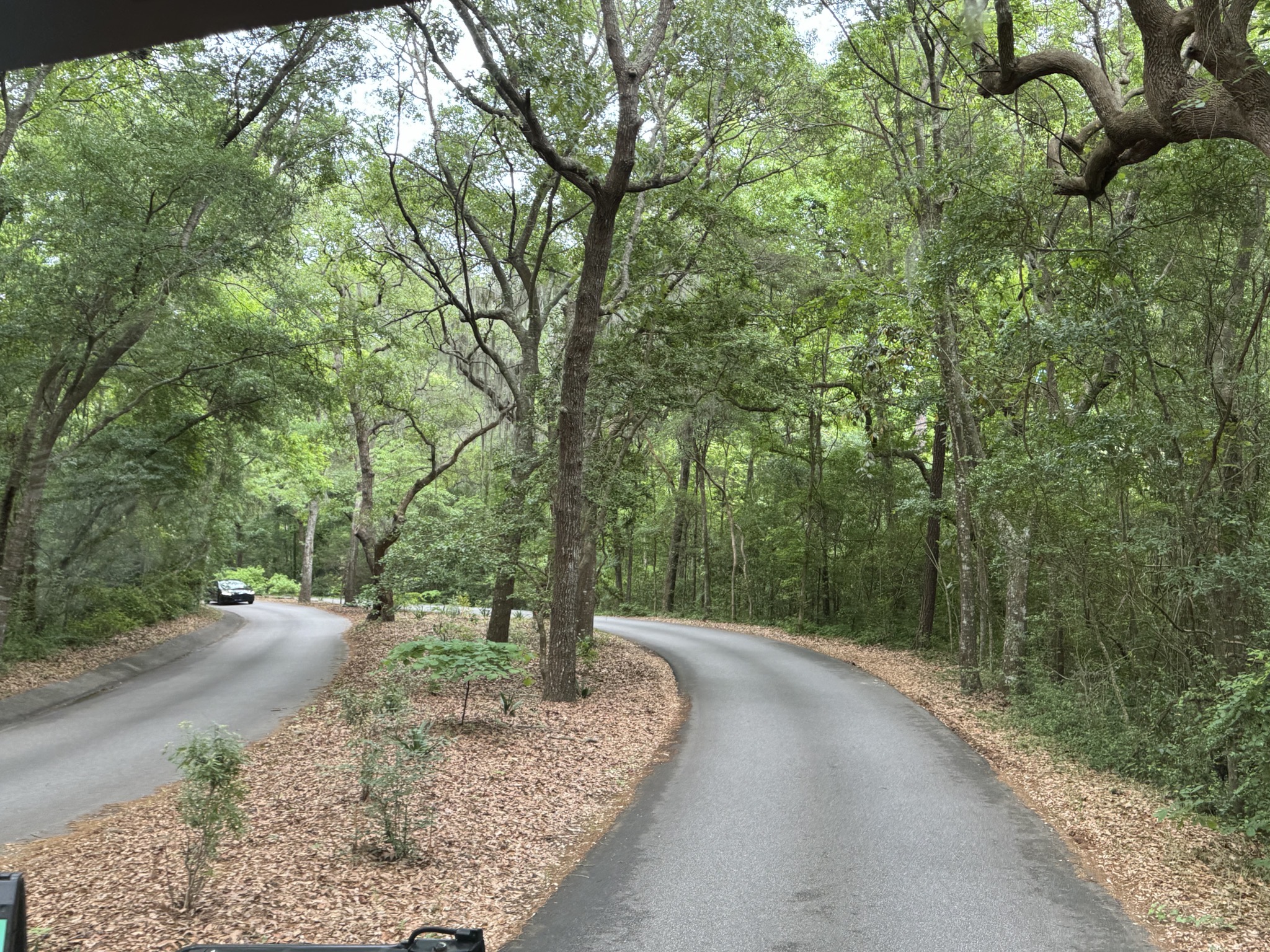 Myrtle Beach State Park