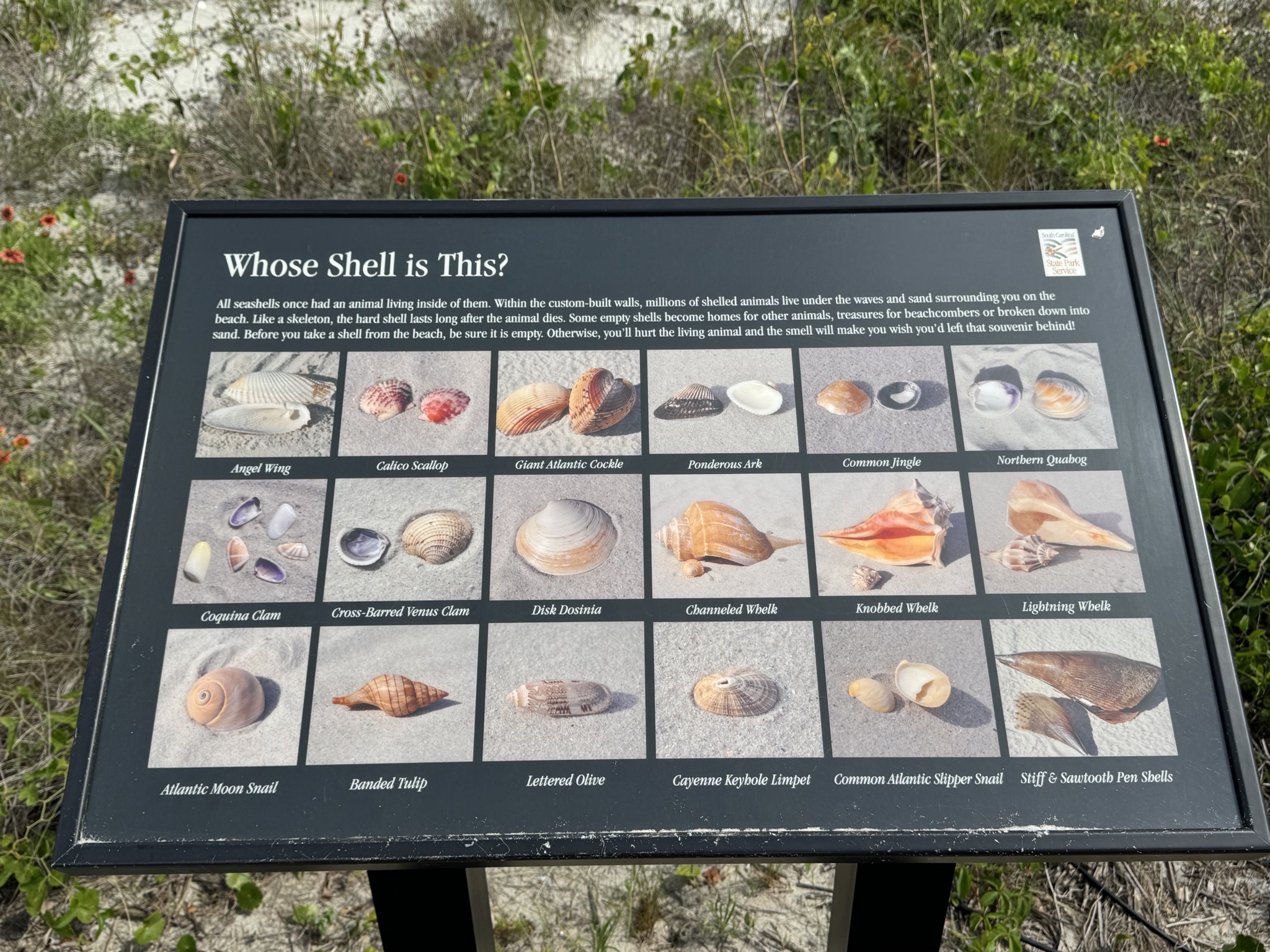 Sign