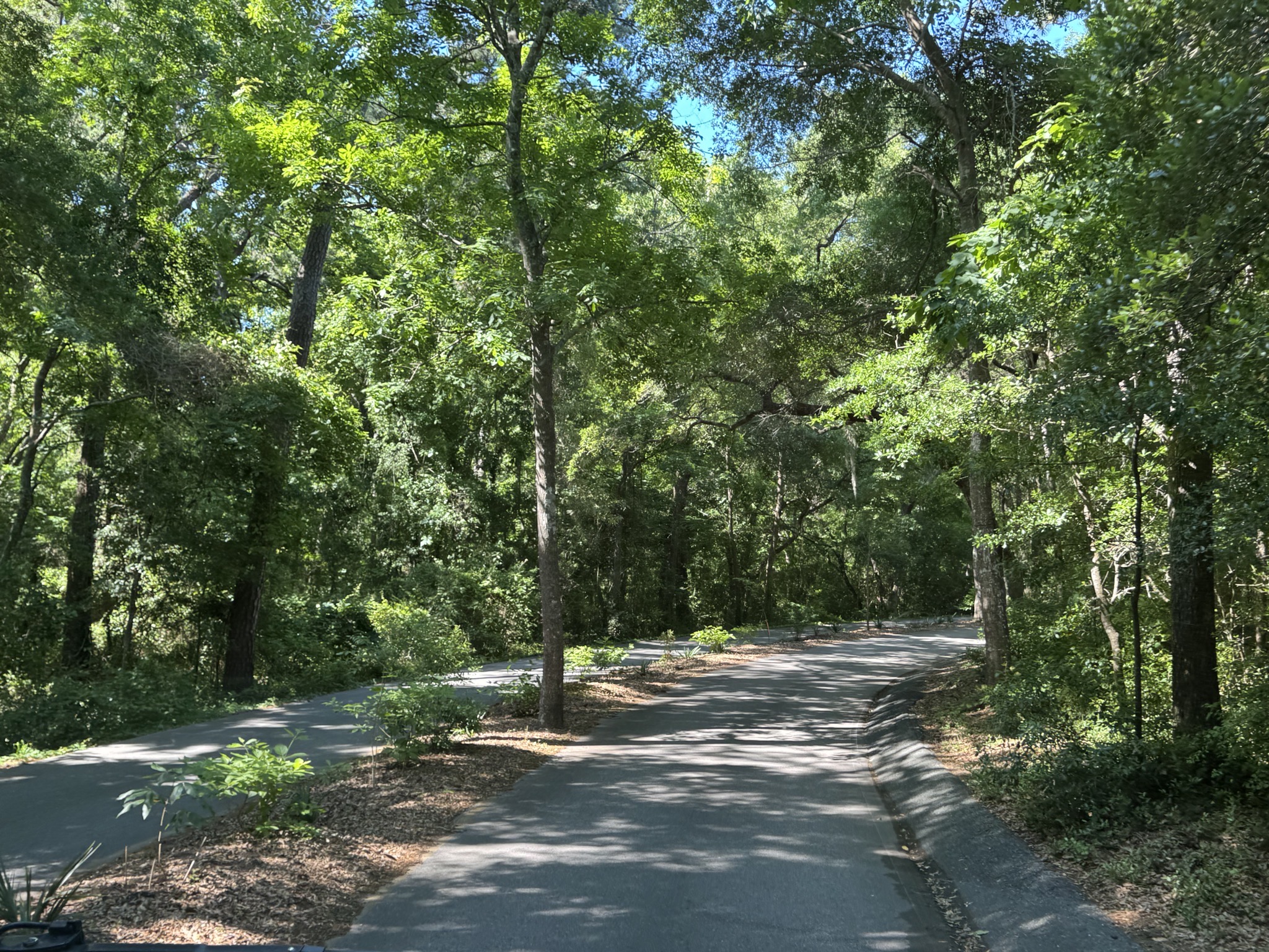 Exiting the state park