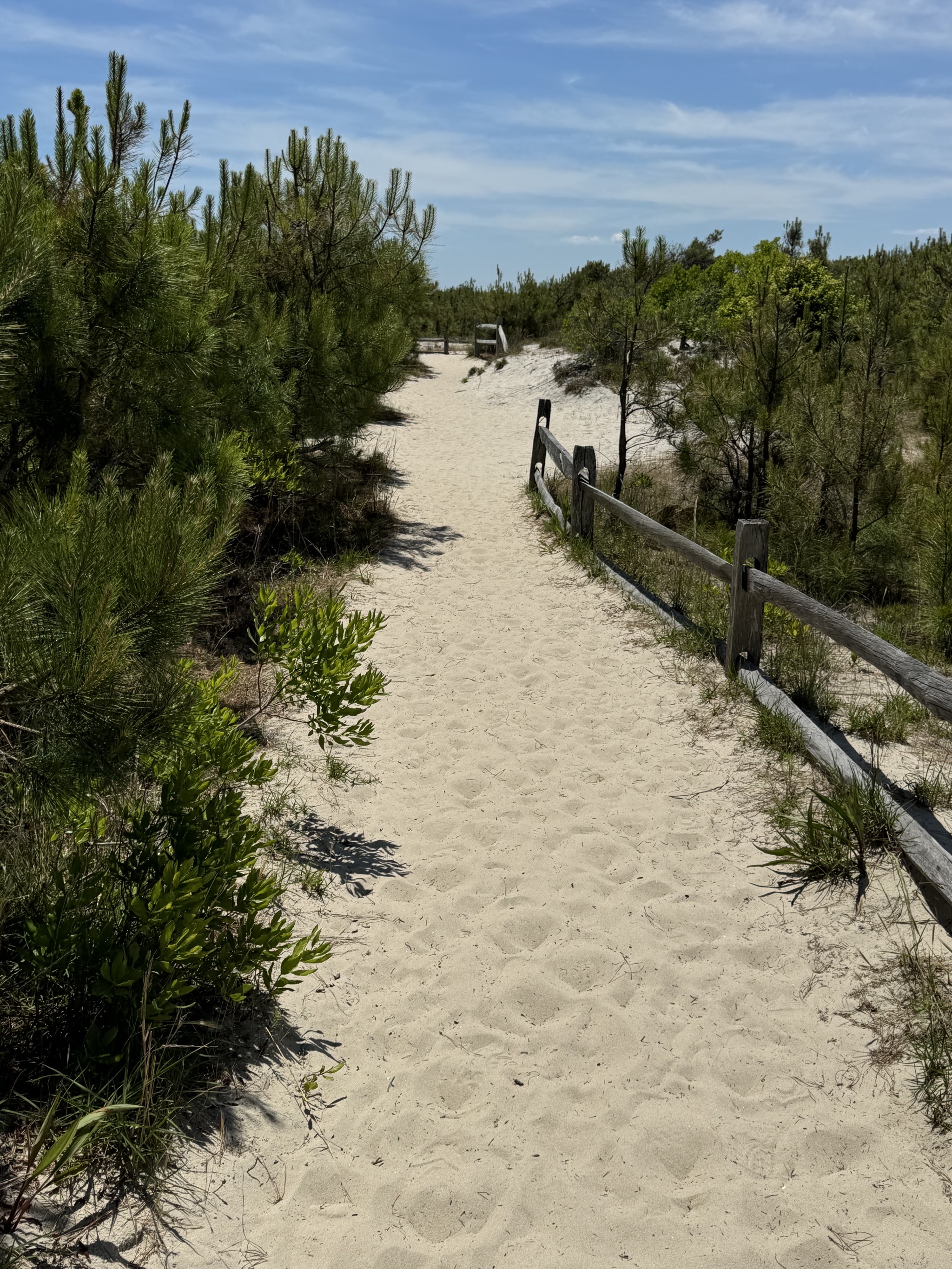 Dunes trail hike