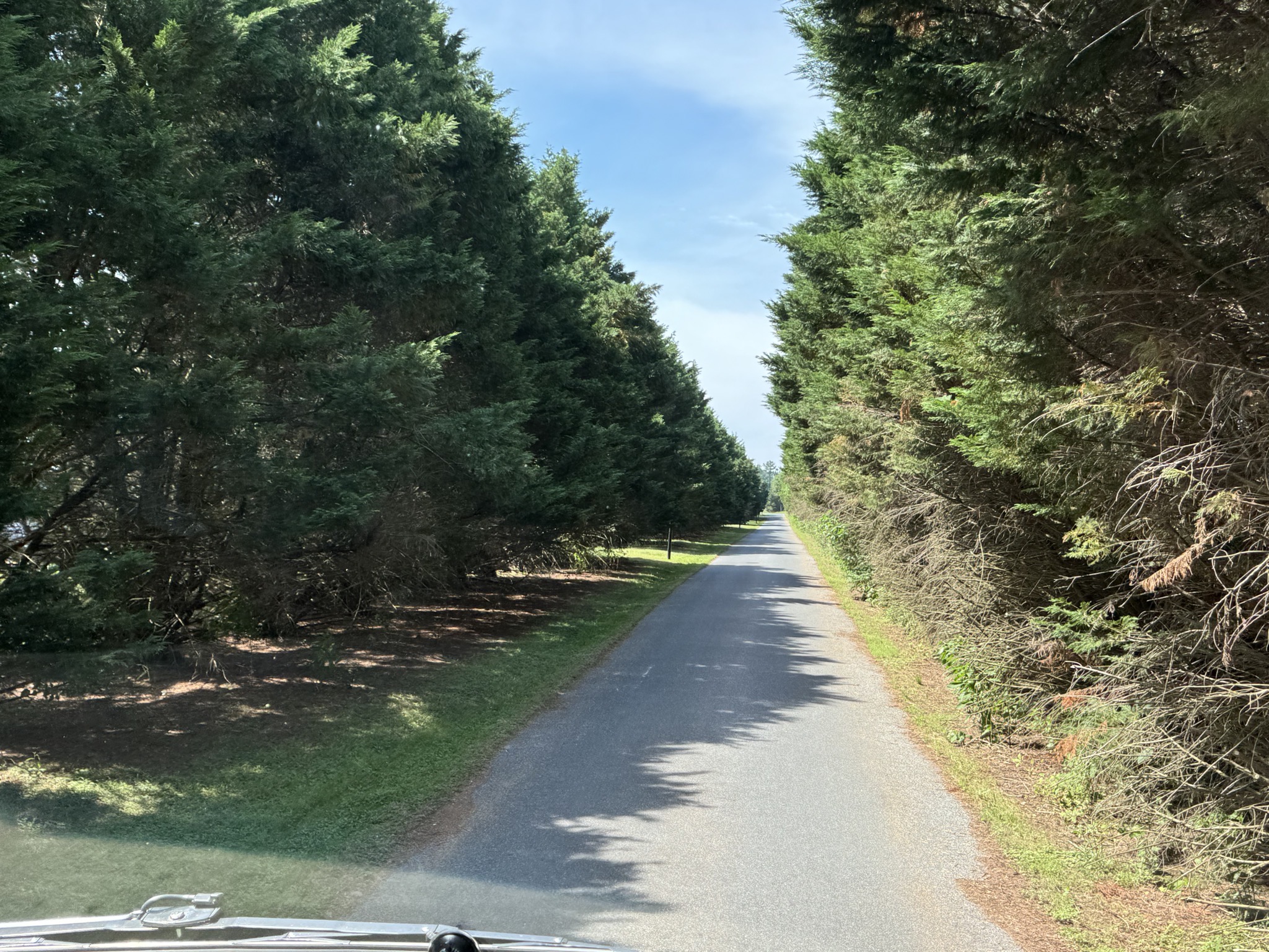 Exit road from campground