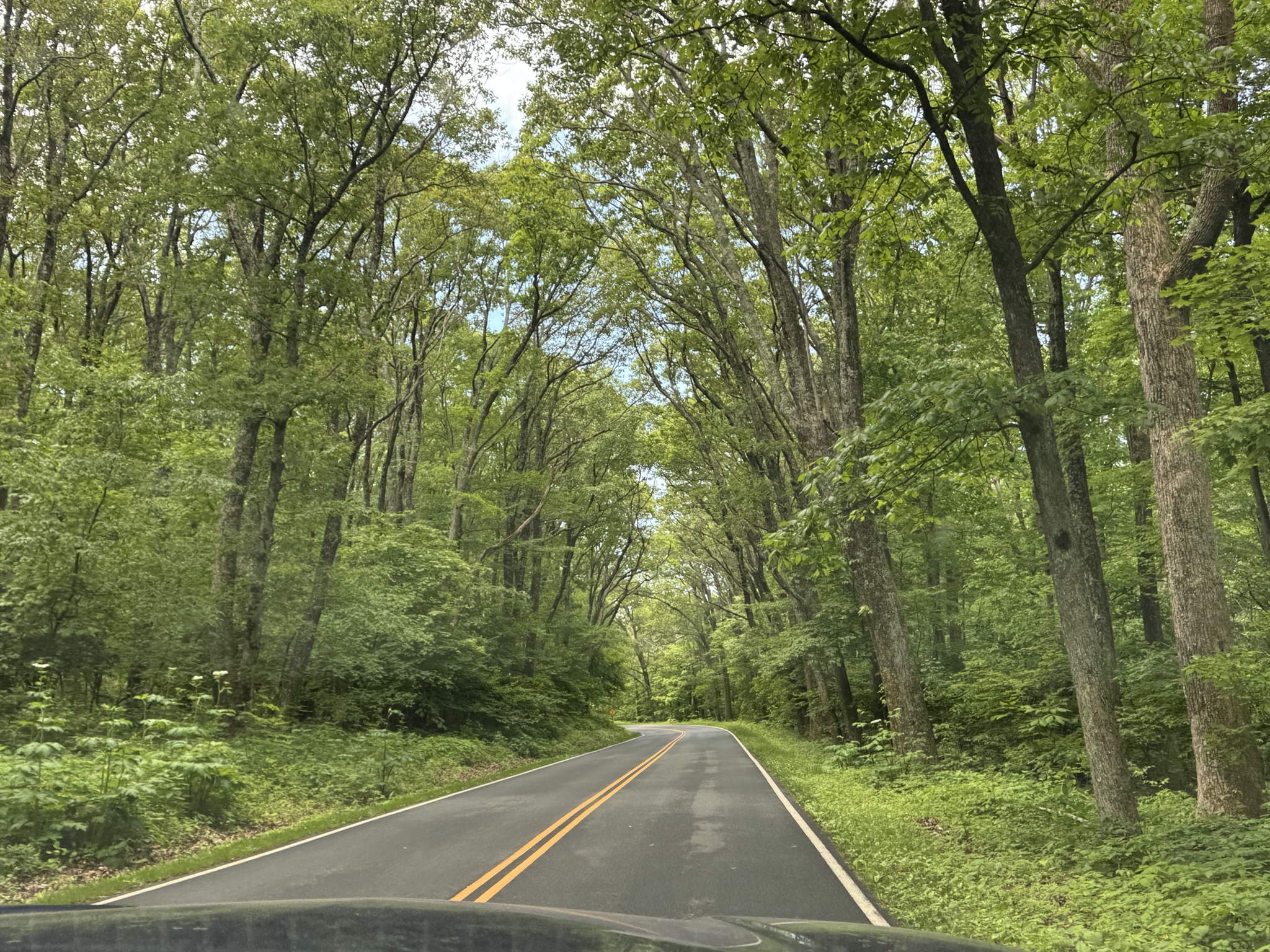 Shenandoah National Park