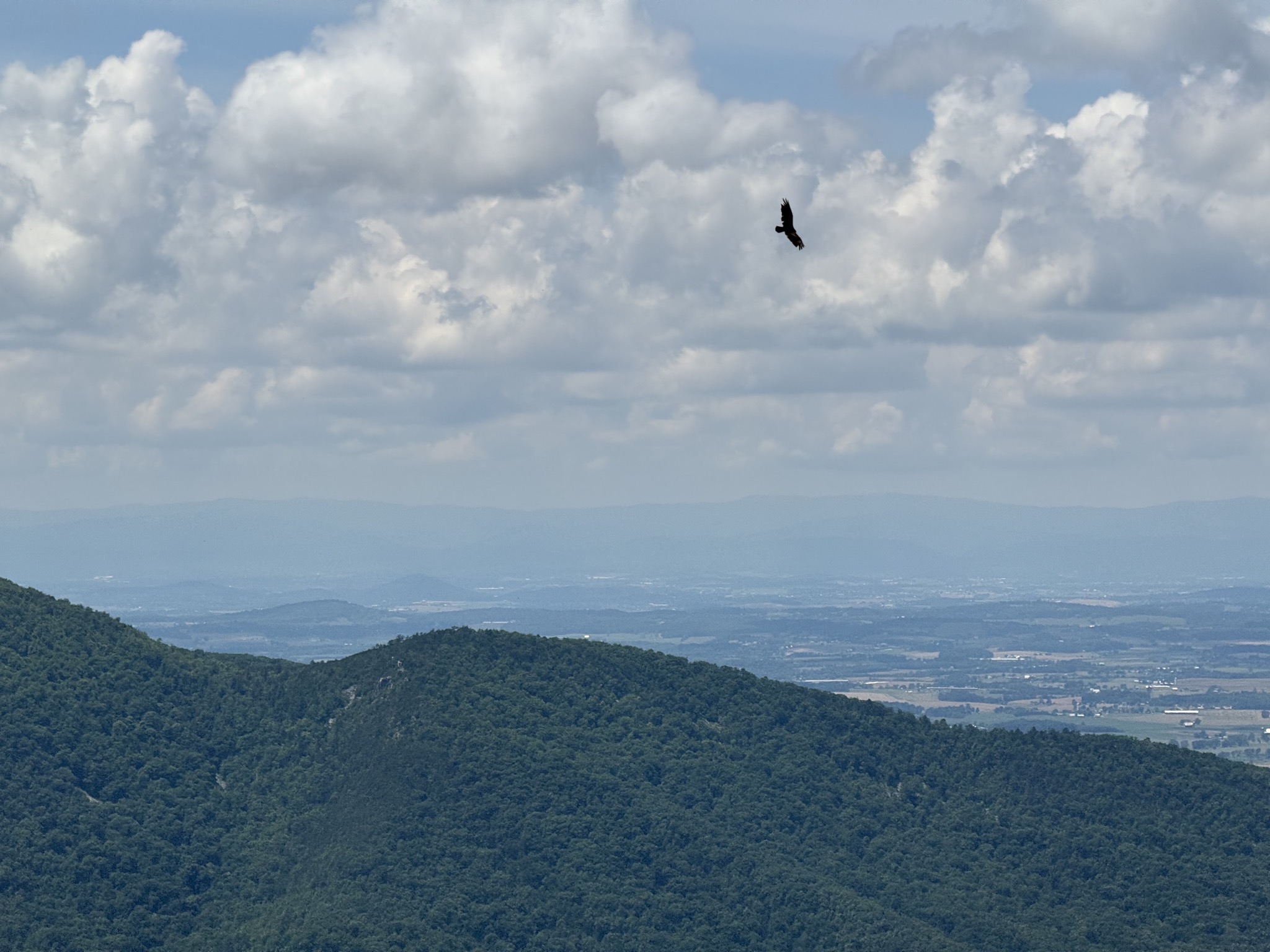 Shenandoah National Park