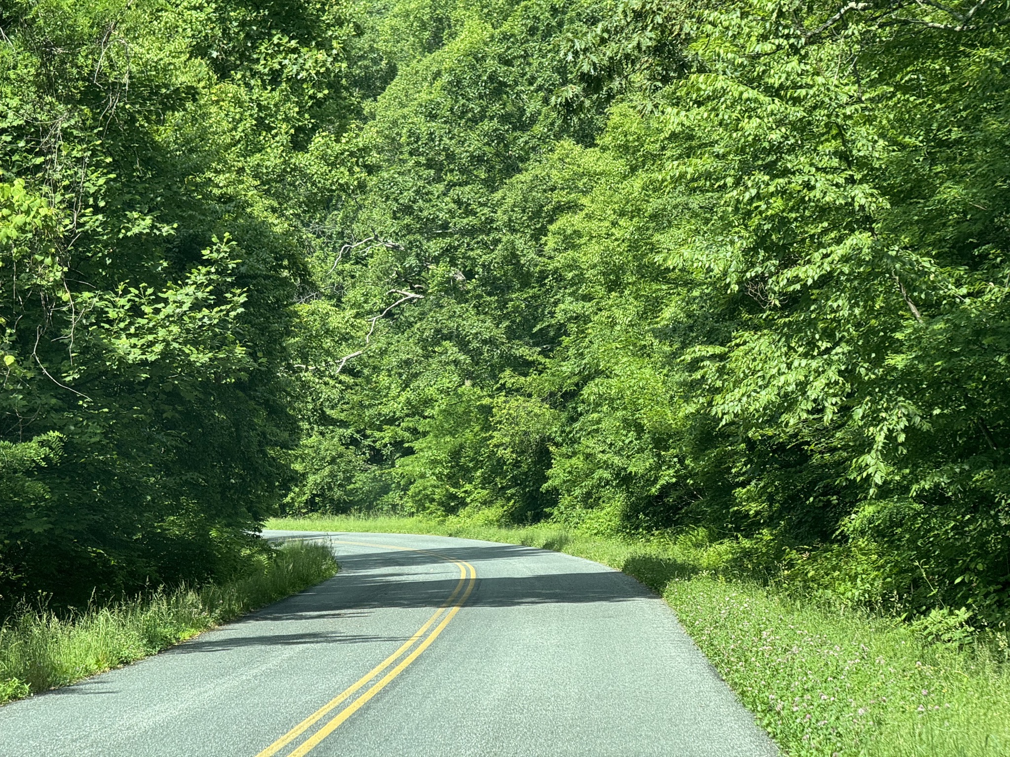 Blue Ridge Parkway