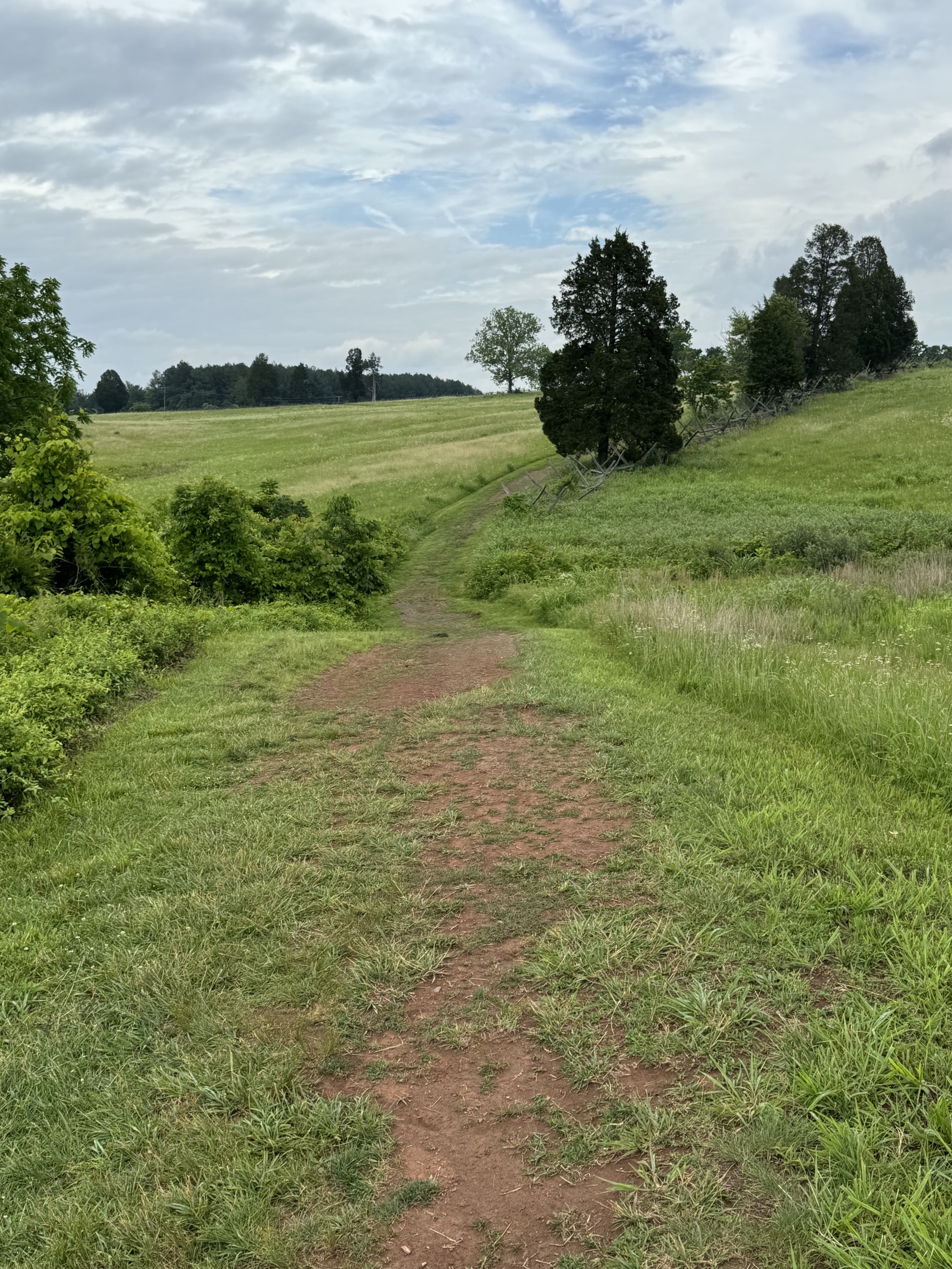 Henry Hill Loop Trail