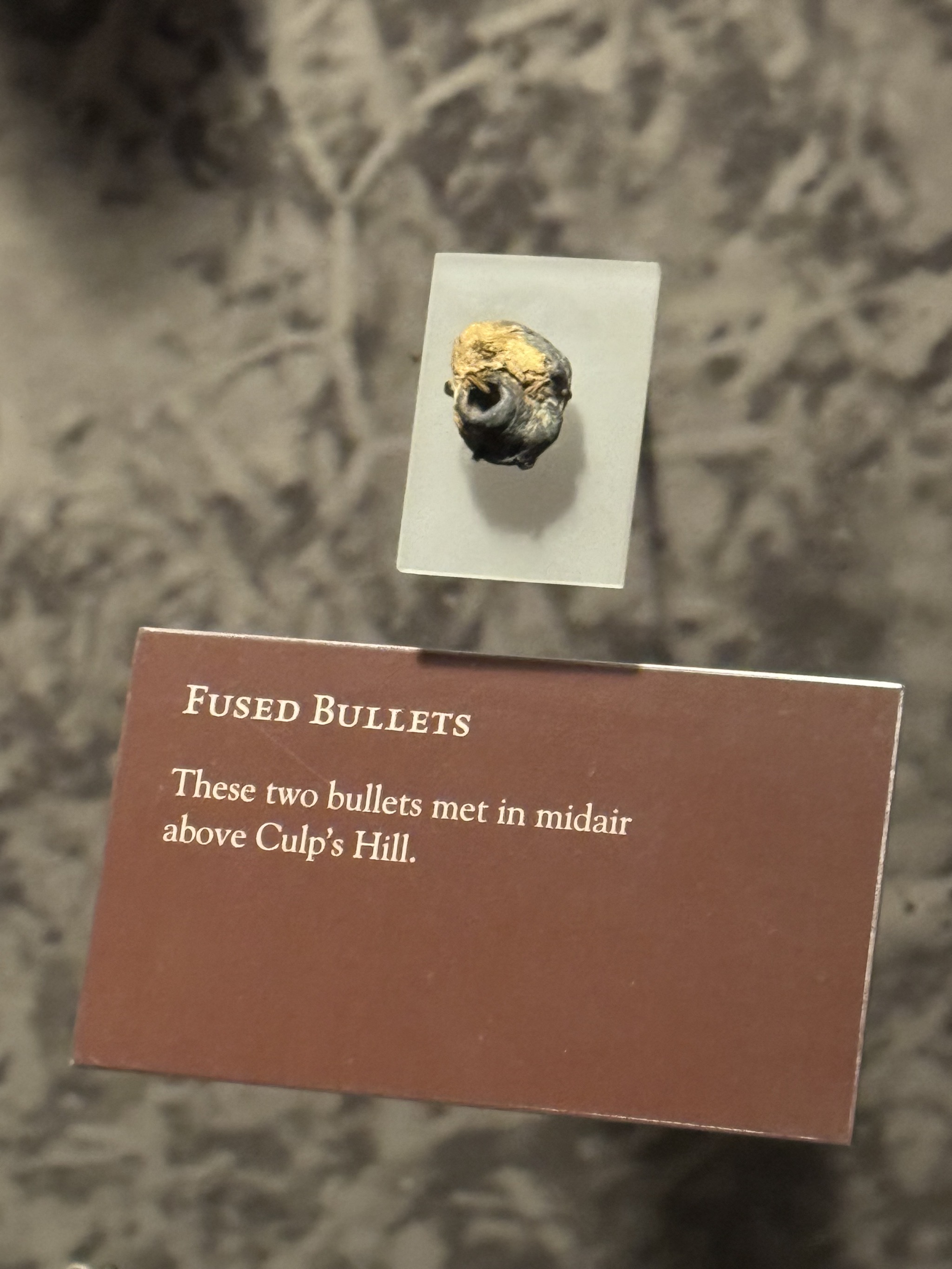 Exhibits