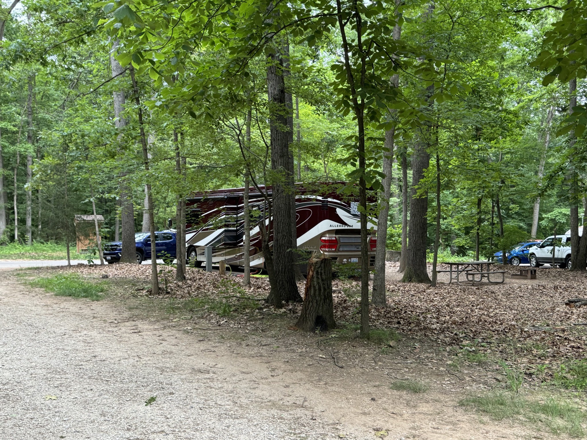 Our site