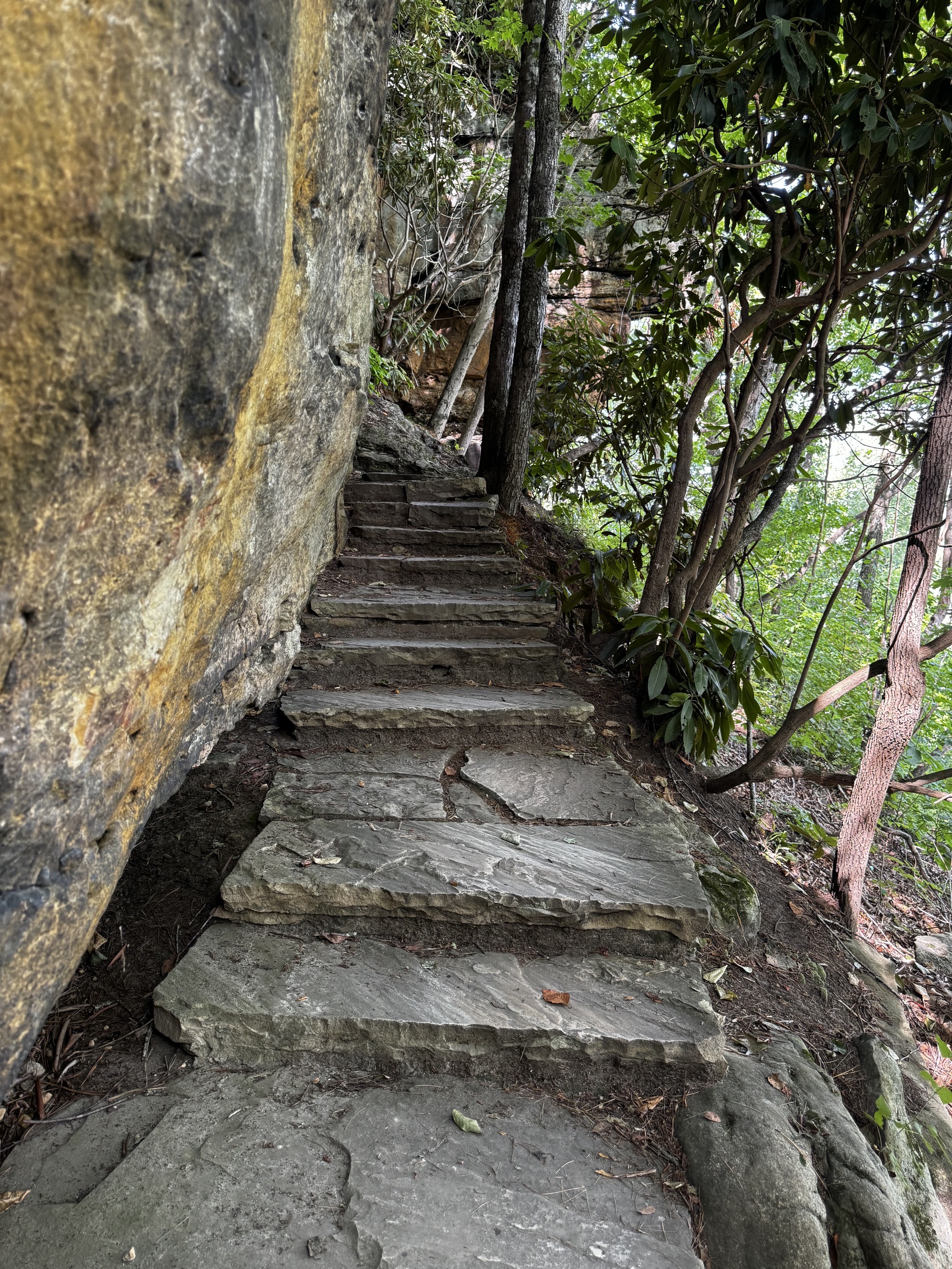 Steps